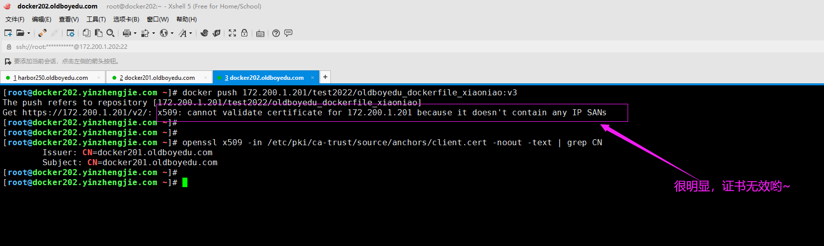 image-20210624095211557