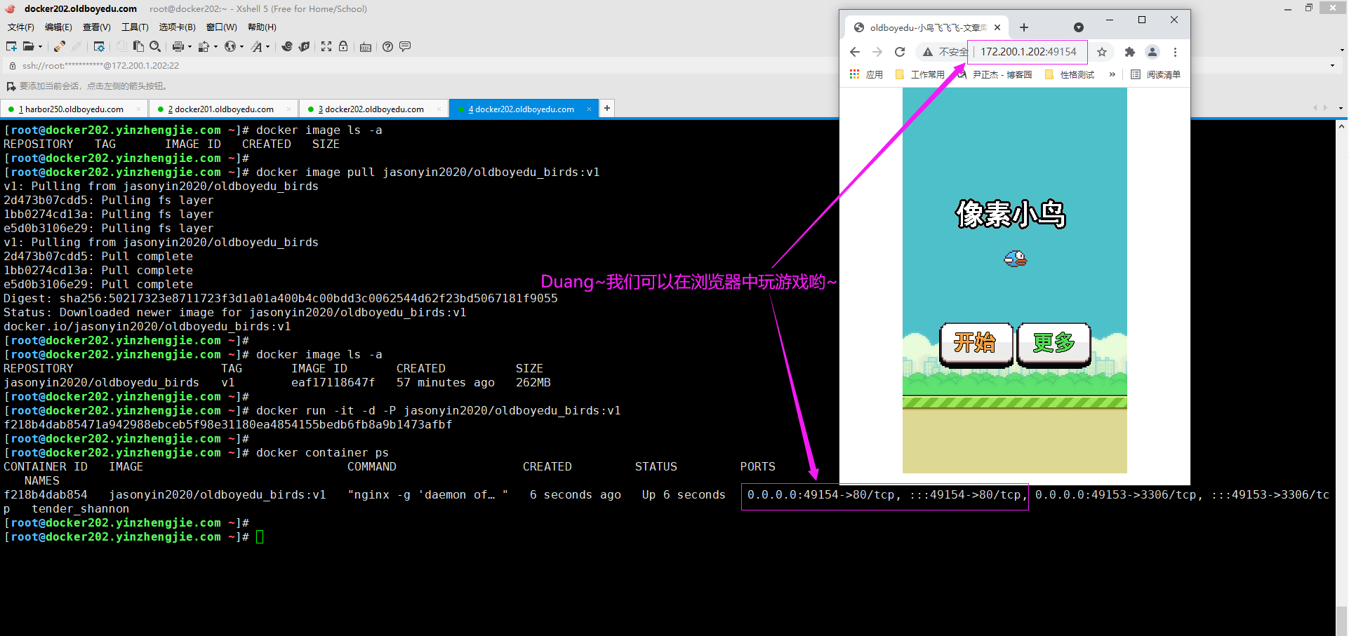 image-20210624191836214