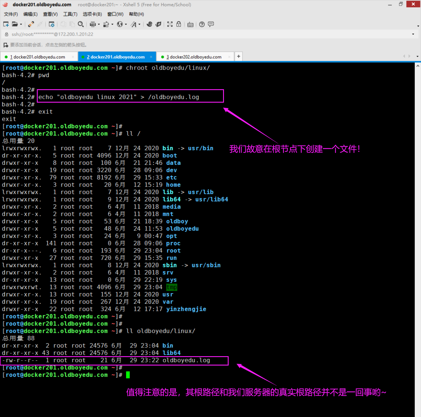 image-20210629232454393
