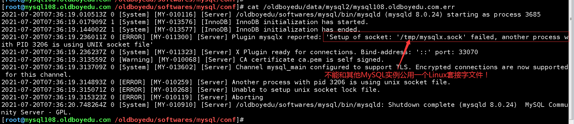 image-20210720154026788