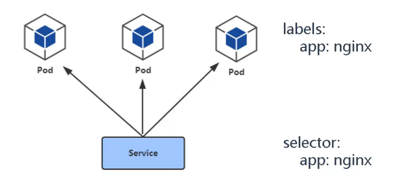 image-20210710234430239