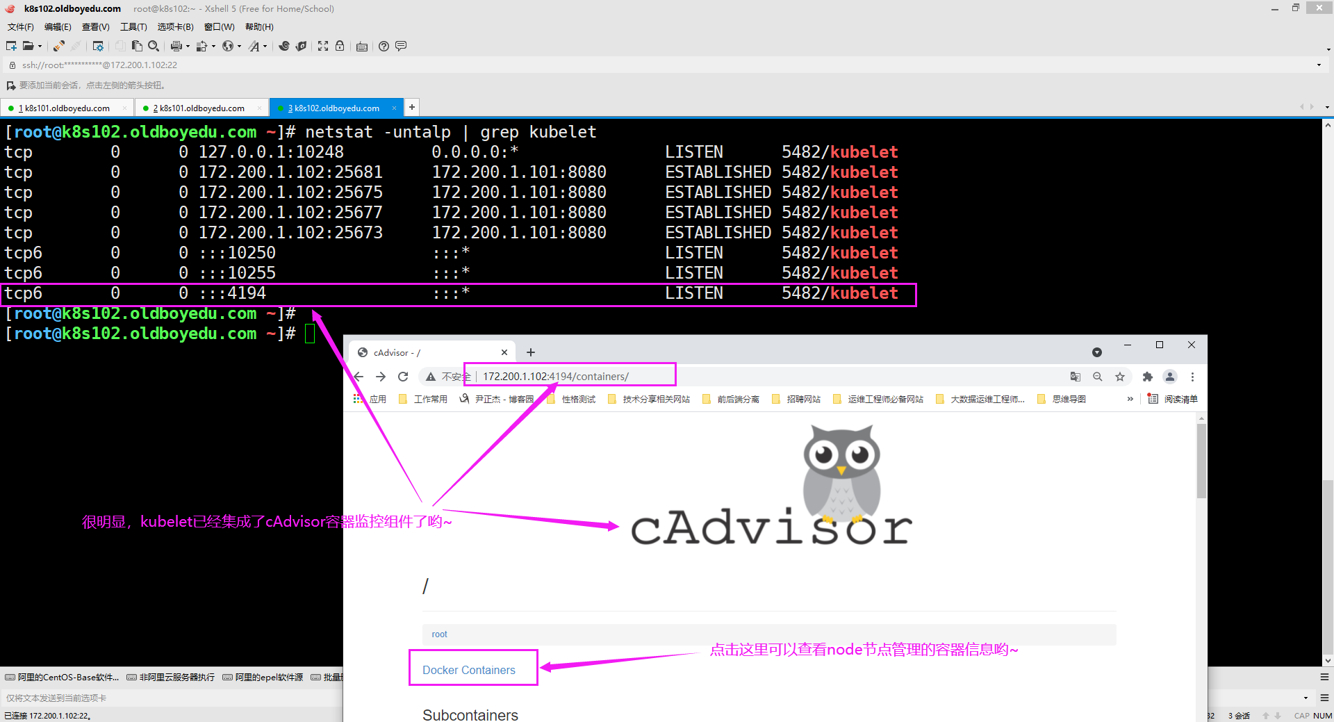 image-20210726230847266