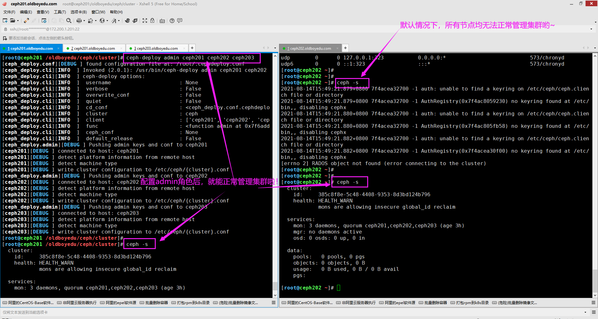 image-20210814155305885