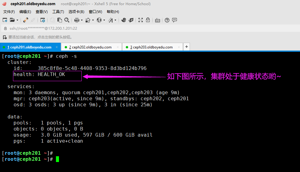 image-20210814171703760