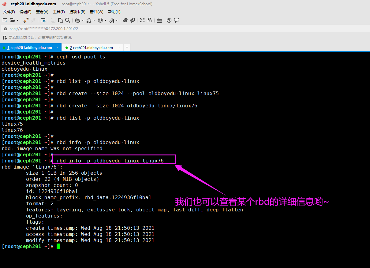 image-20210818220116797