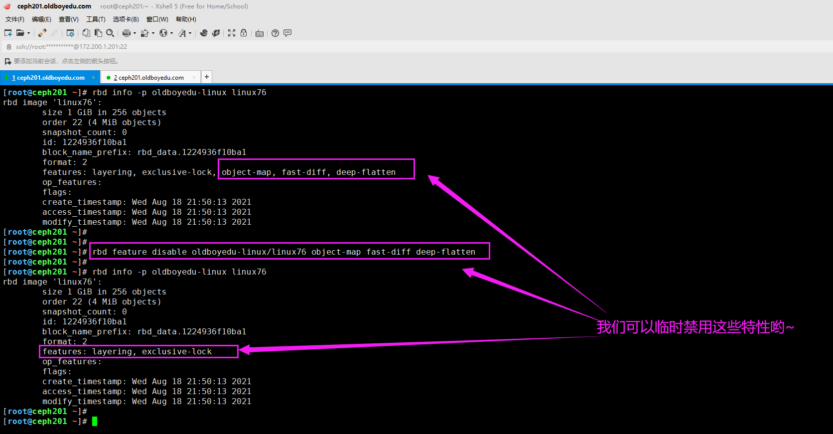 image-20210818222044267