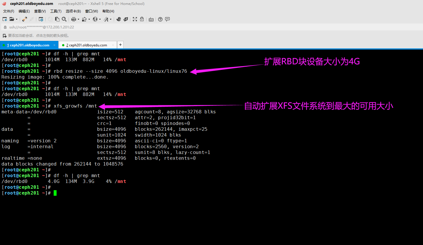 image-20210819130506447