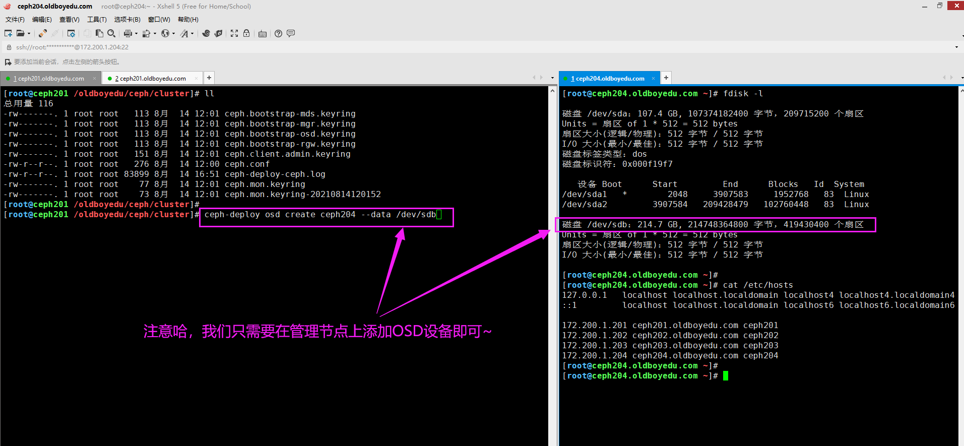 image-20210819220635082
