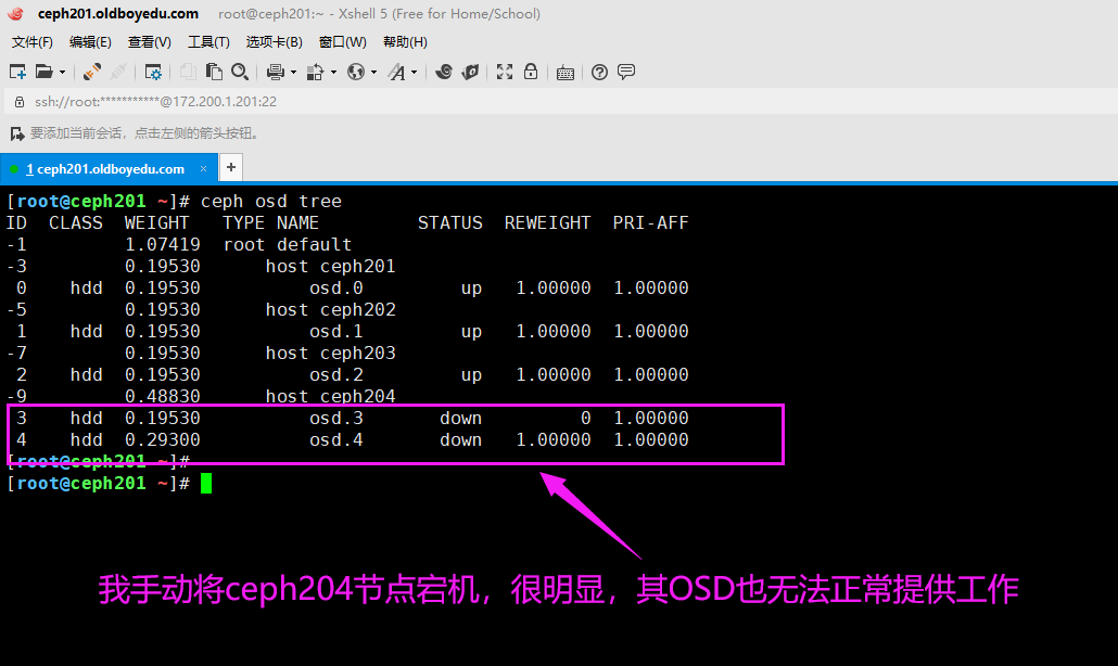 image-20210820190643876