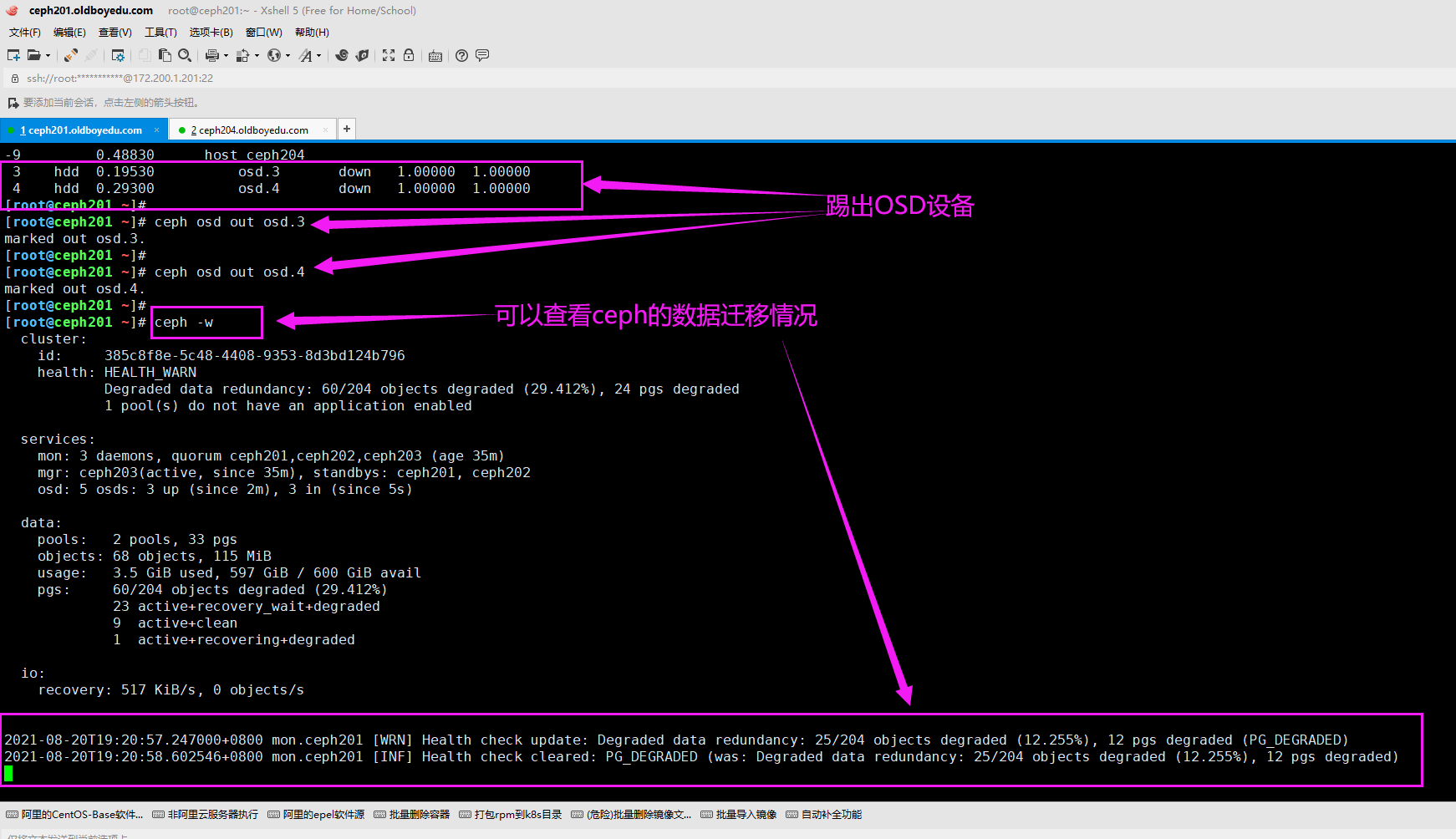 image-20210820192249360