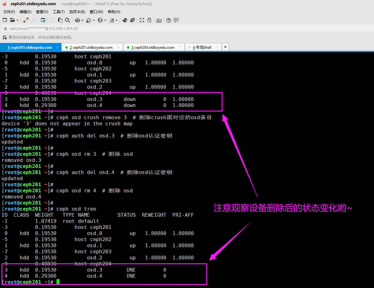 image-20210820193042600