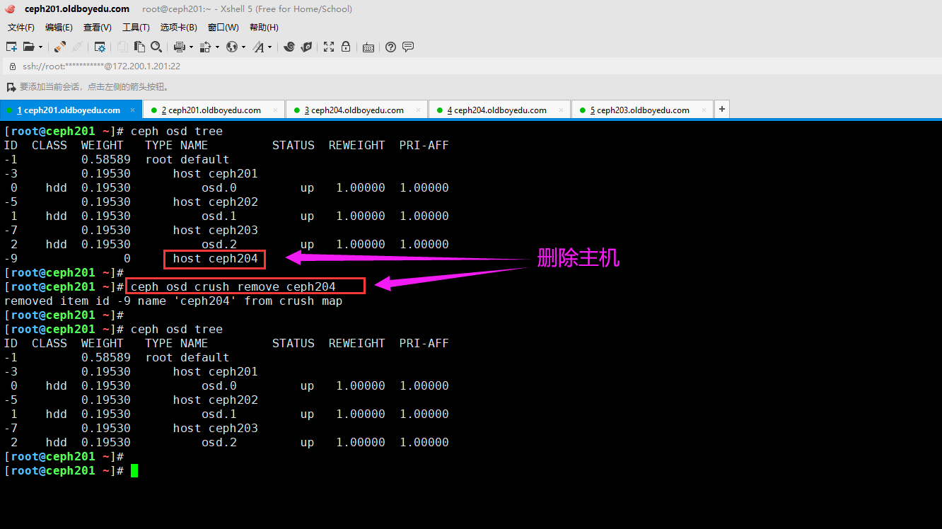 image-20210821123209829