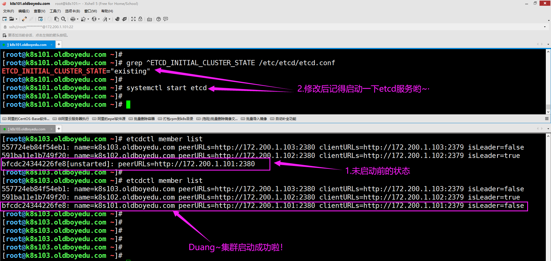 image-20210831213023395