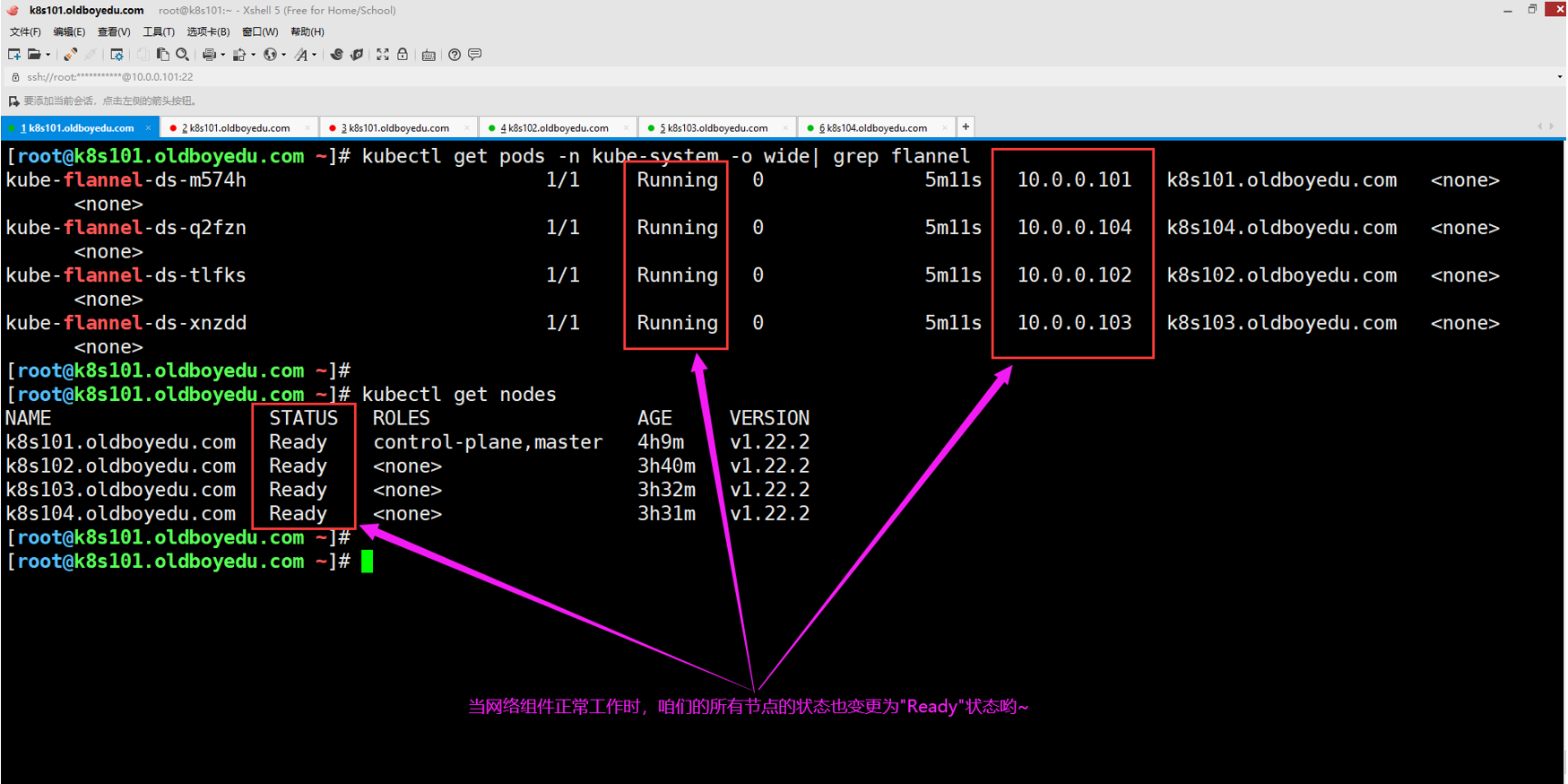 image-20211112125607142