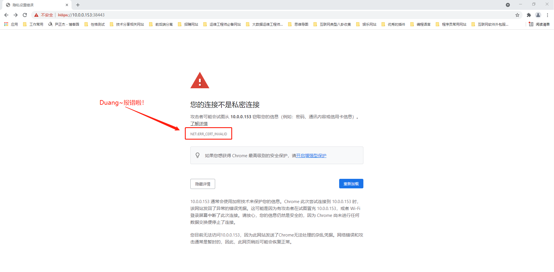 image-20211115212516798