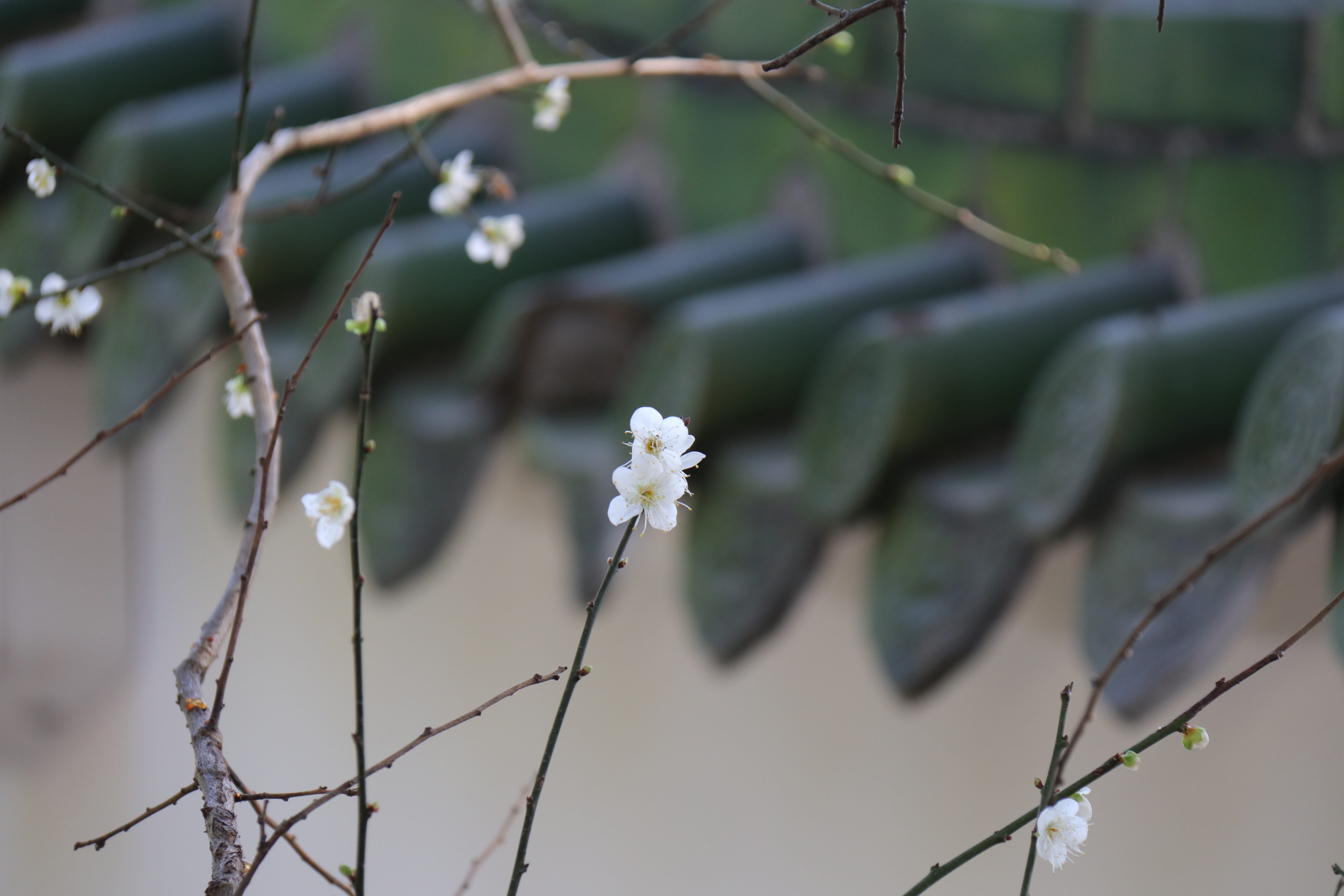 20191228135318_IMG_0557