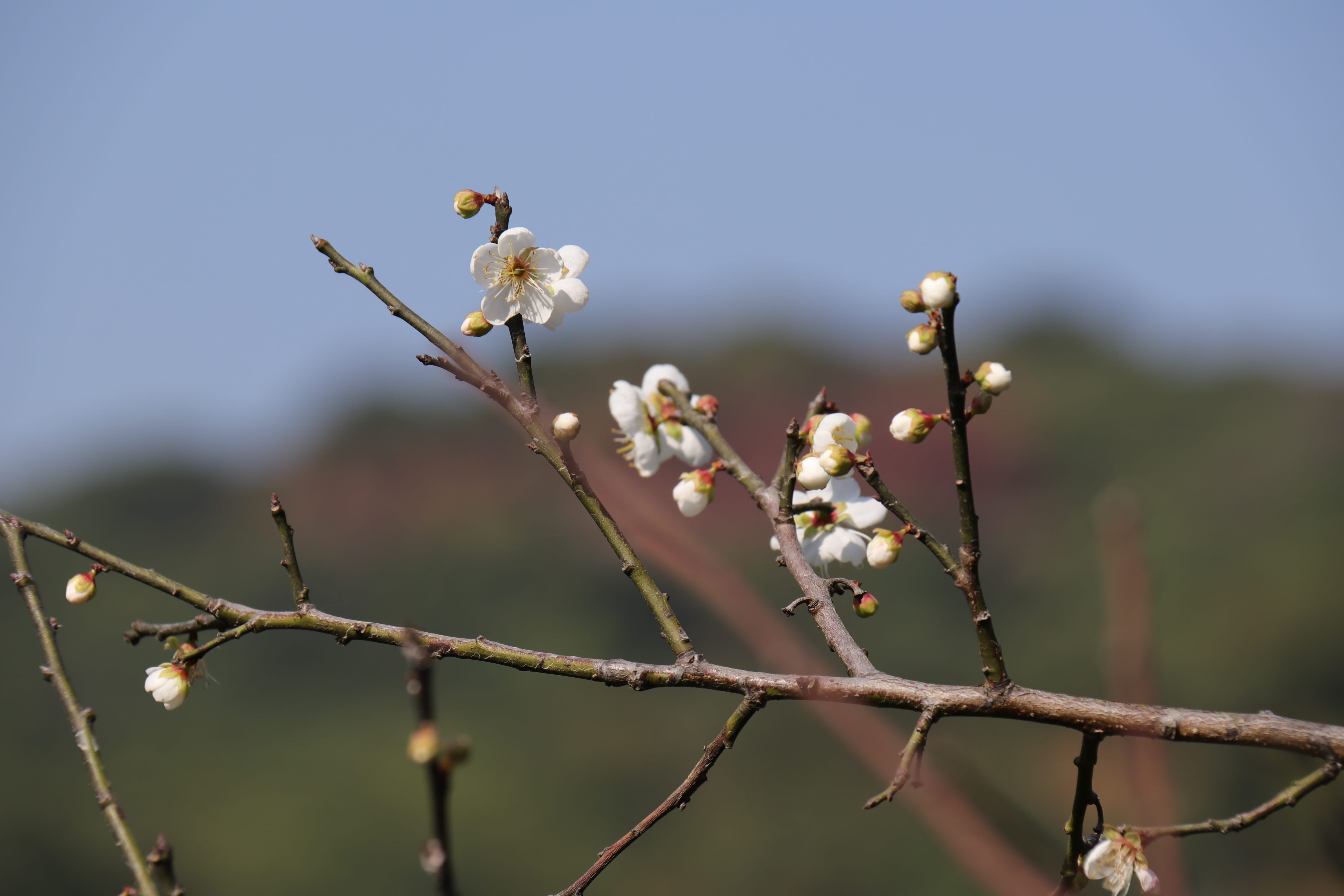 20191228135856_IMG_0559