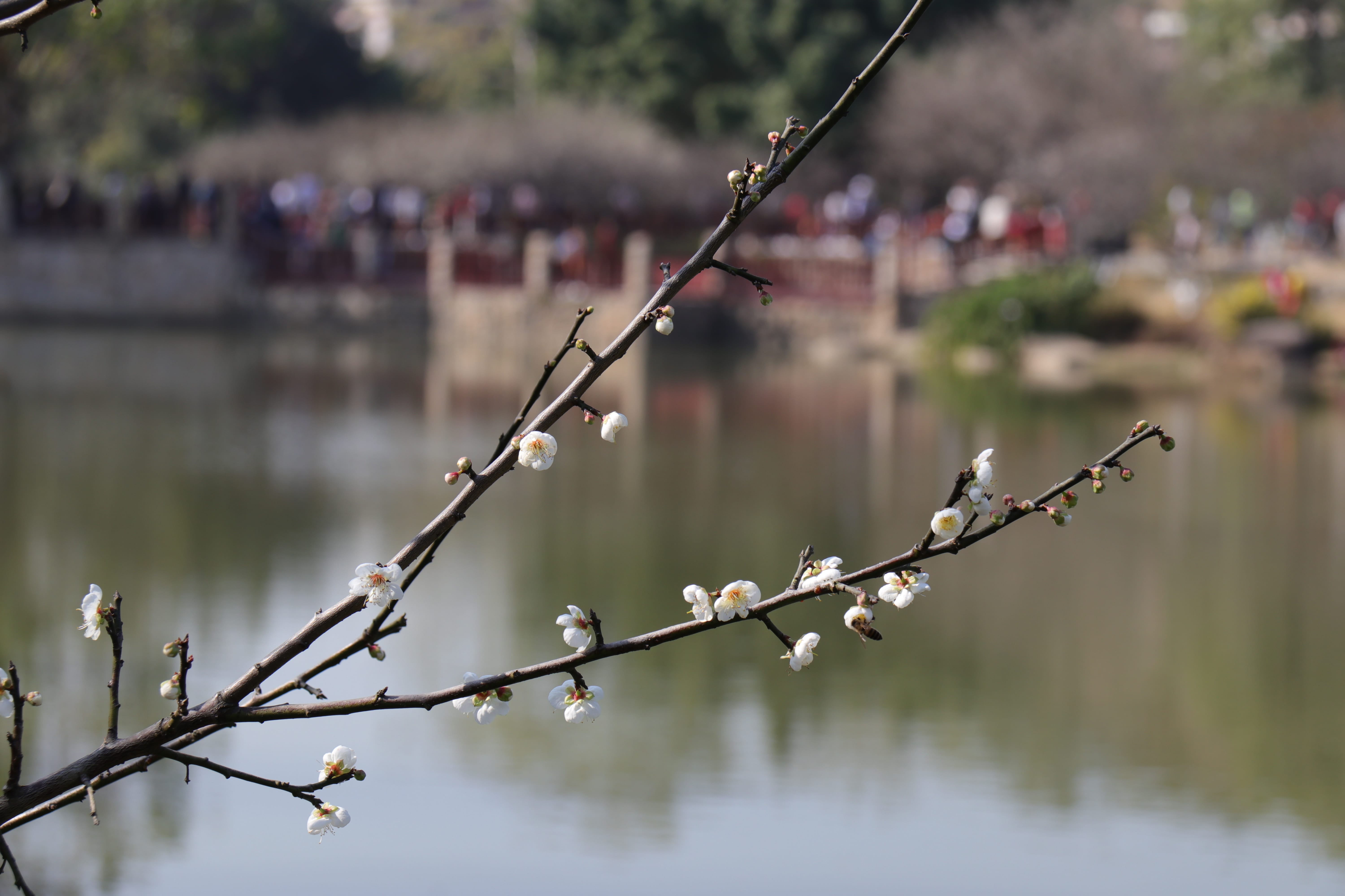 20191228135957_IMG_0560