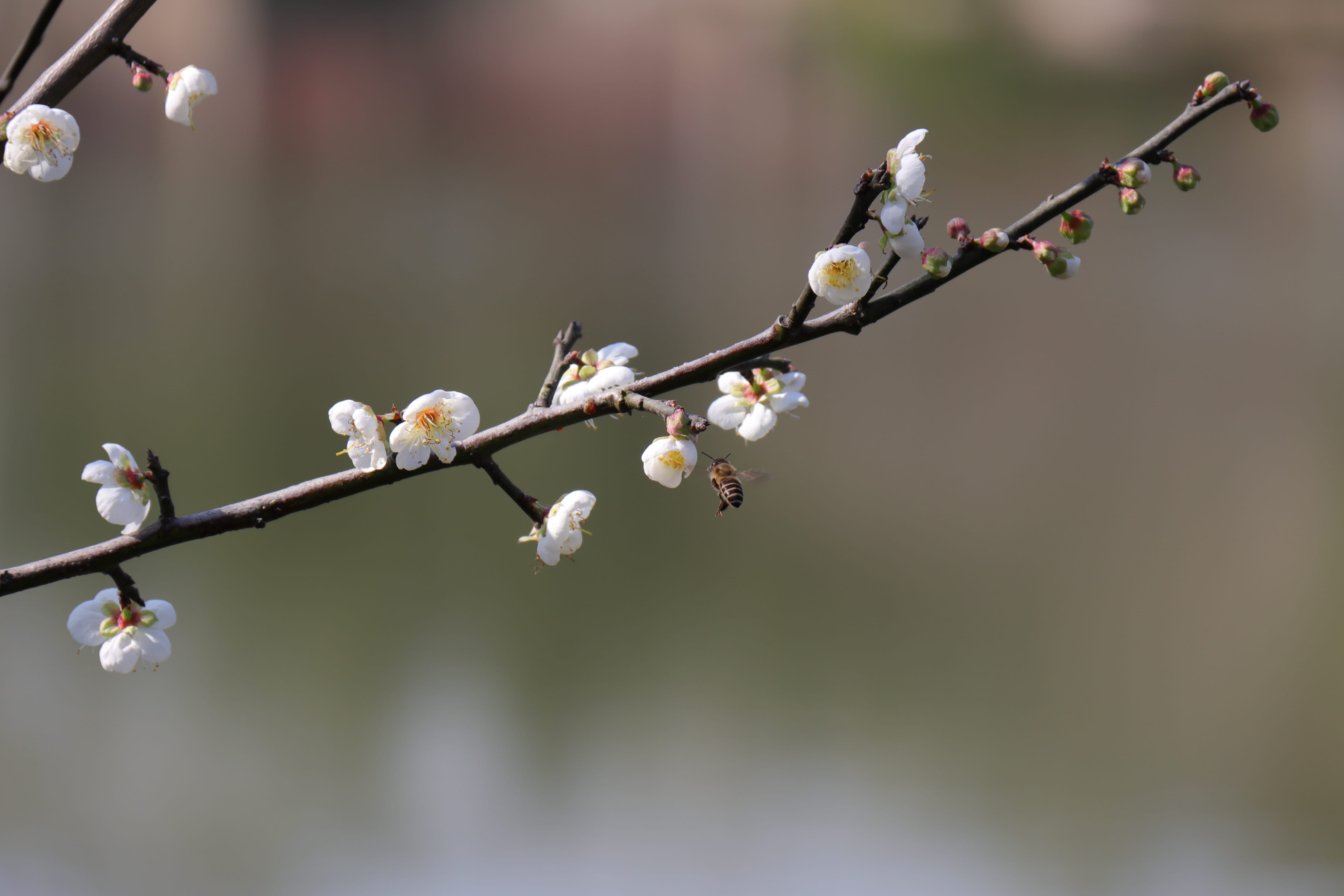 20191228140008_IMG_0561