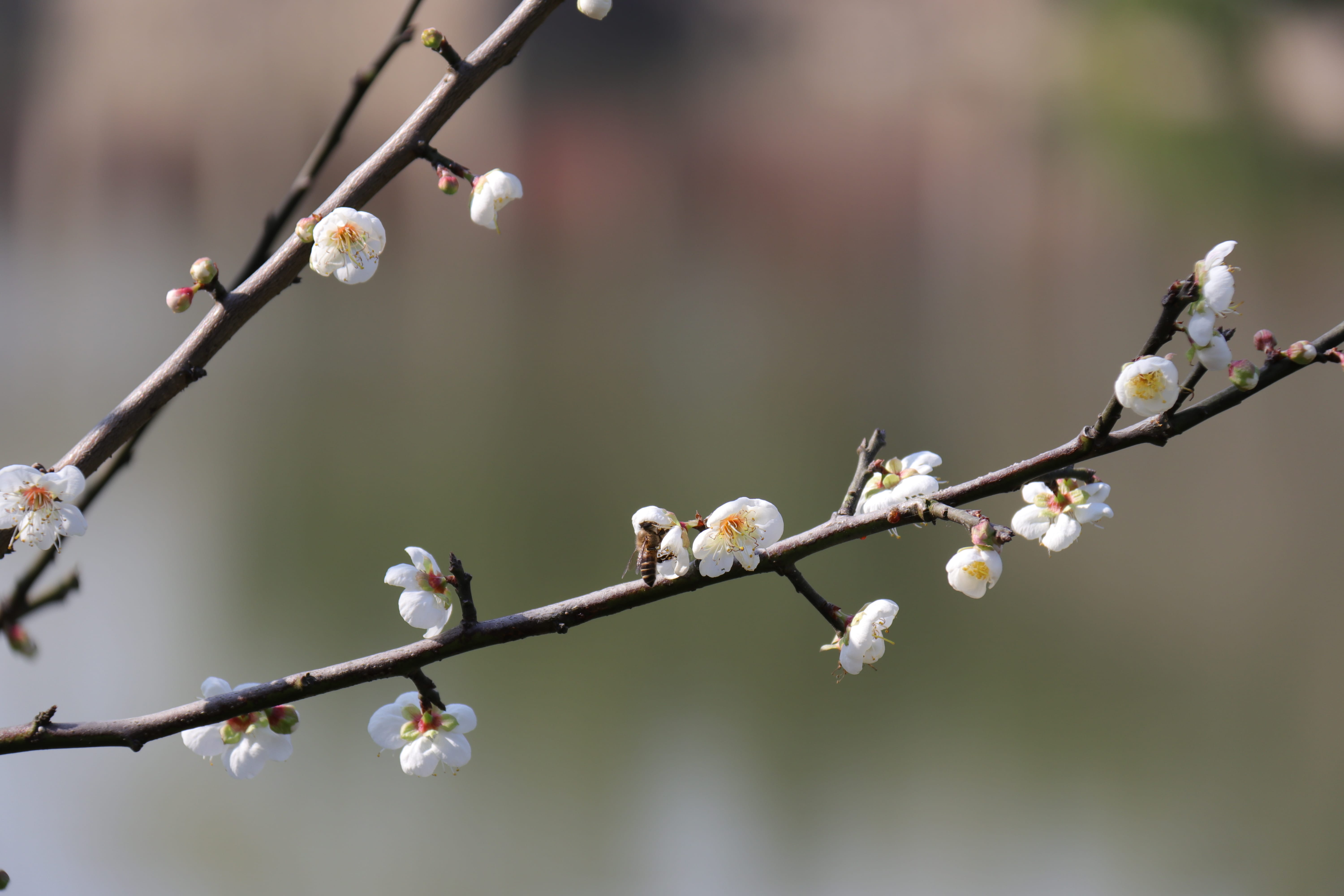 20191228140017_IMG_0562