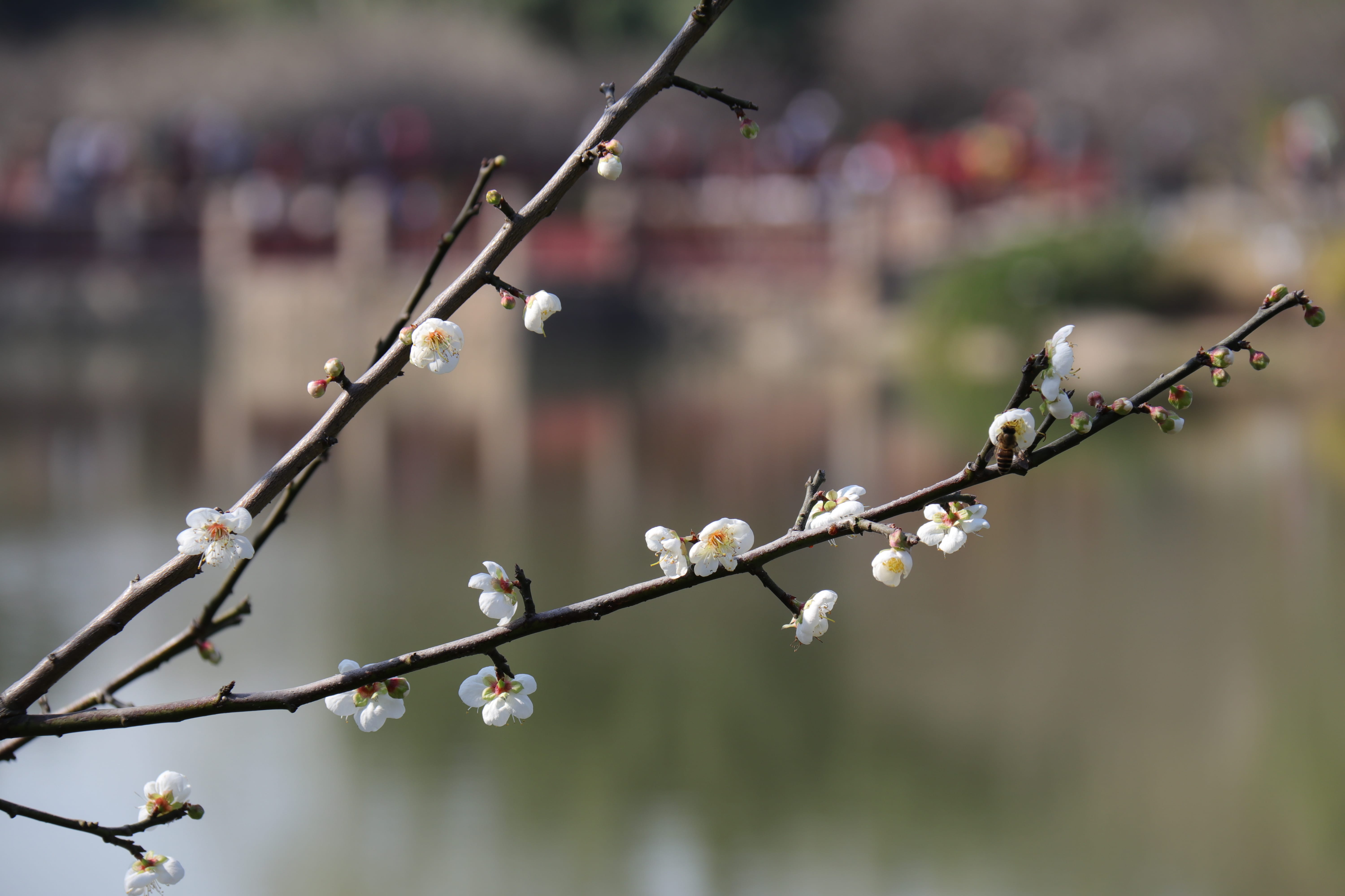 20191228140037_IMG_0563