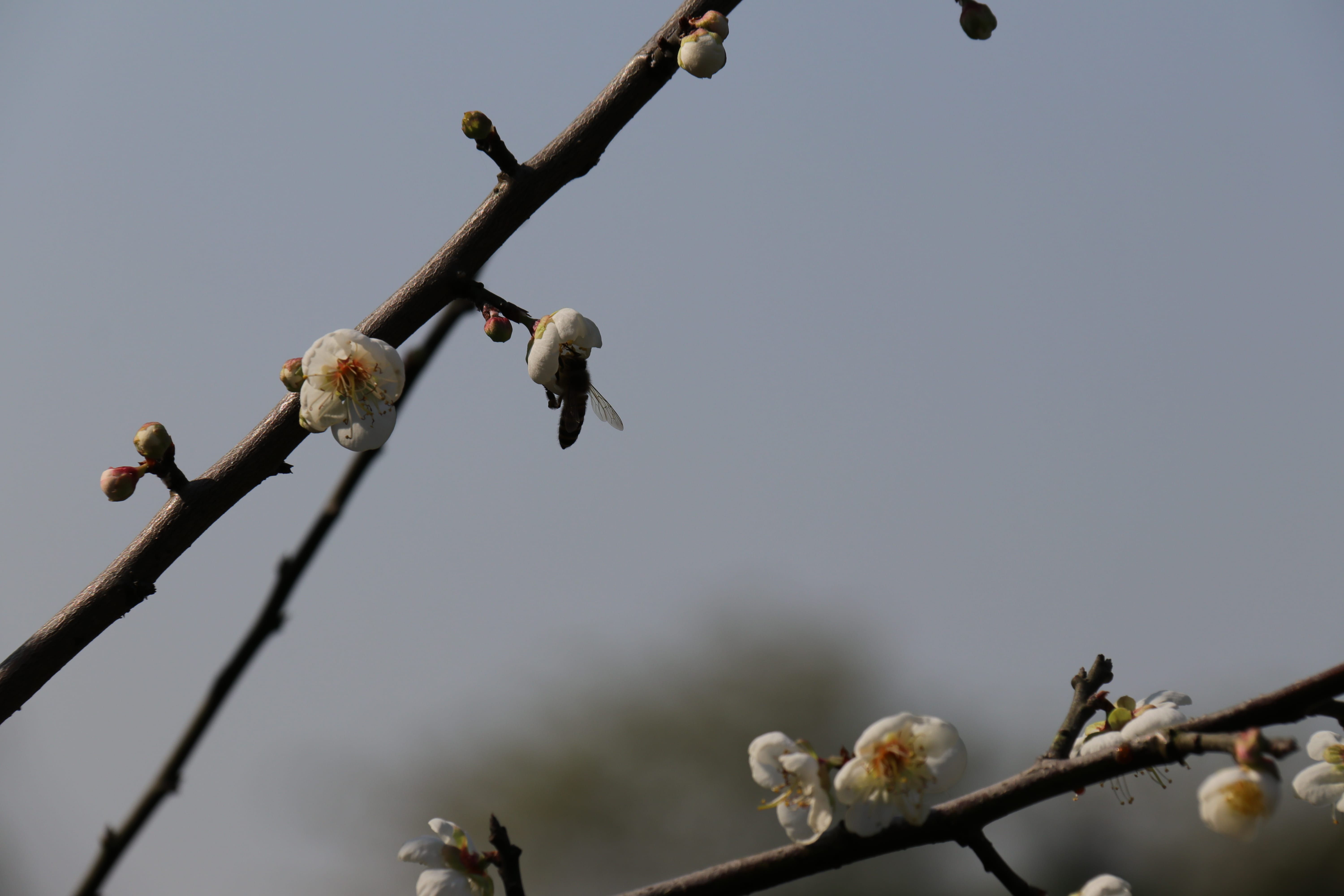 20191228140128_IMG_0564