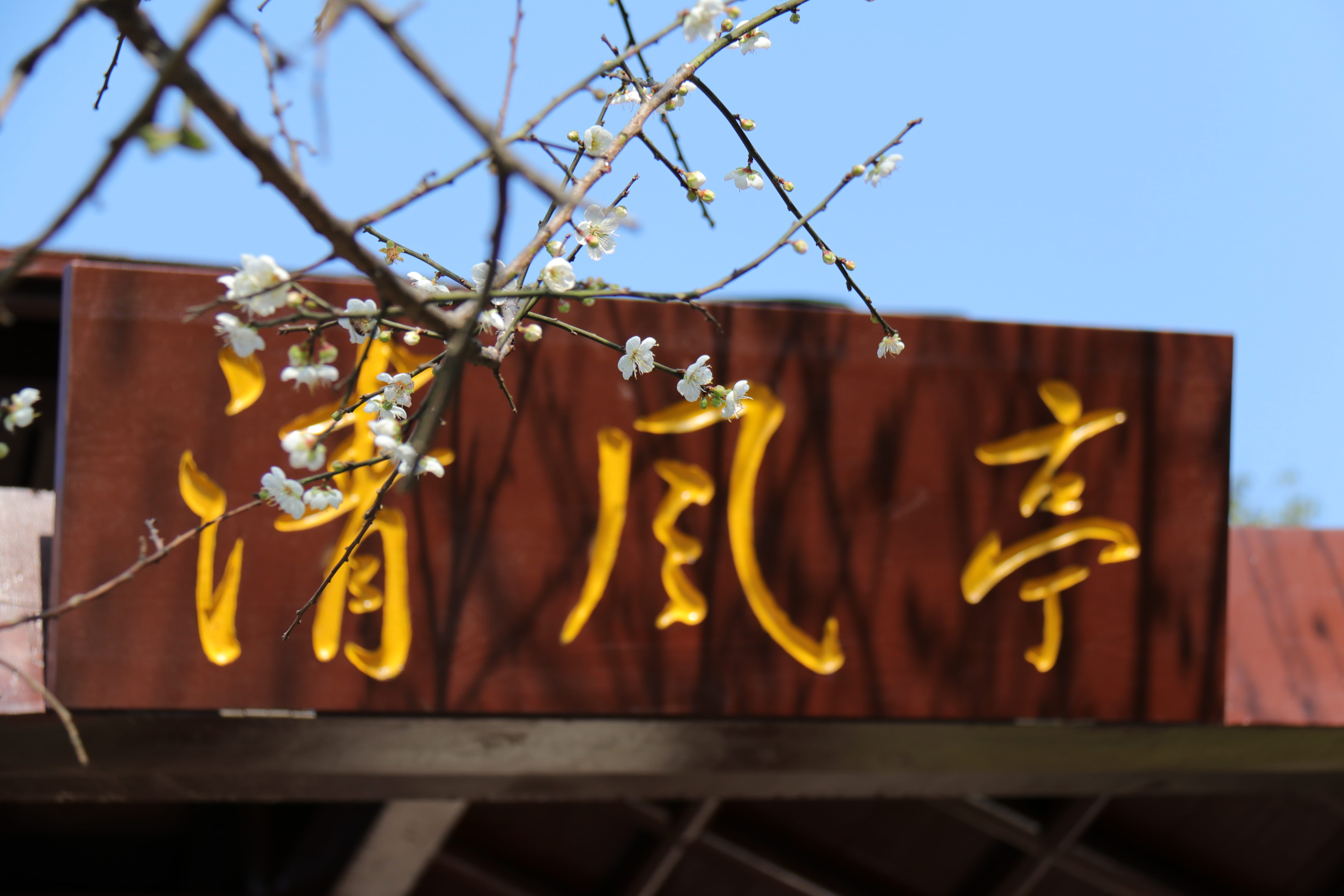 20191228140618_IMG_0565