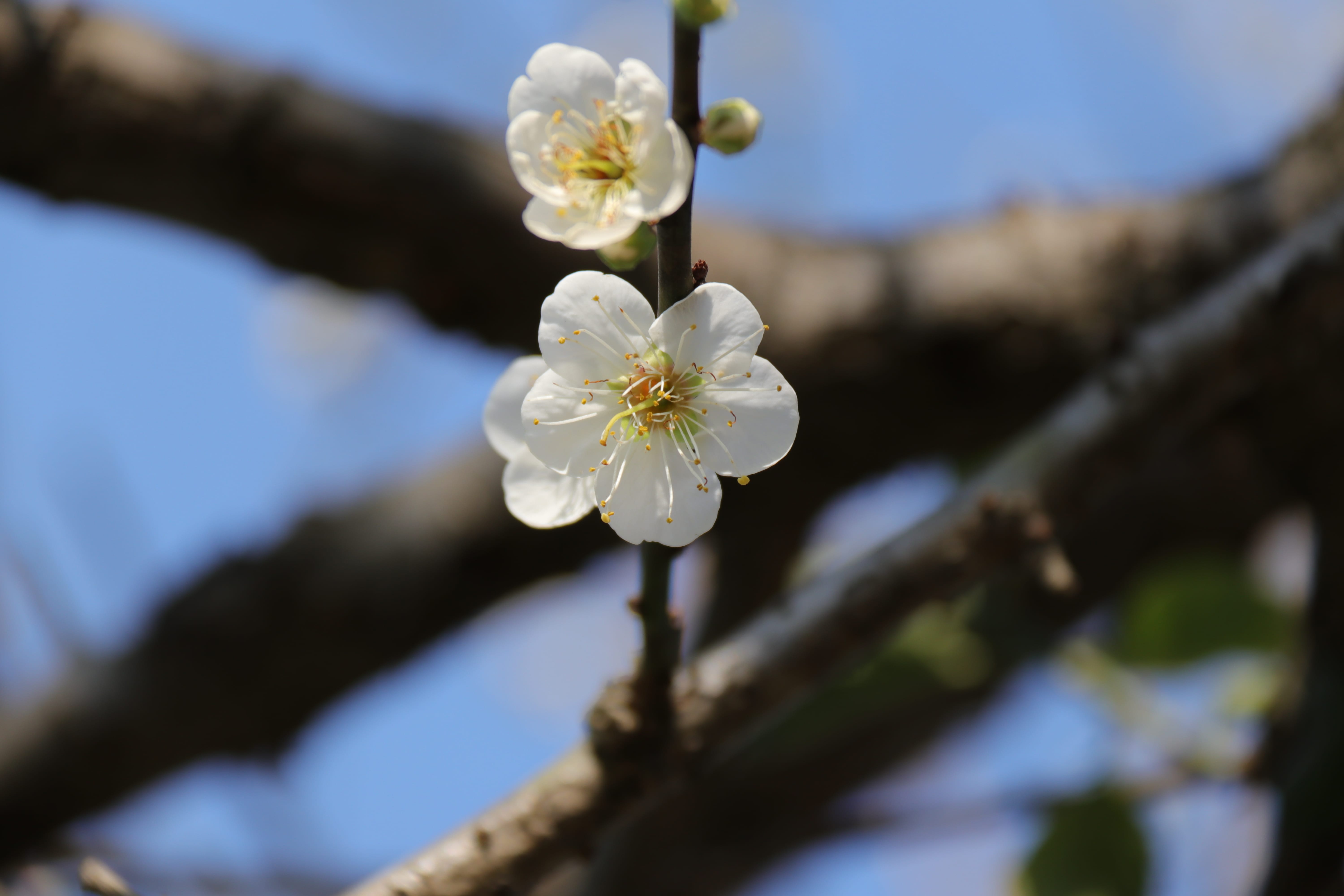 20191228140901_IMG_0567