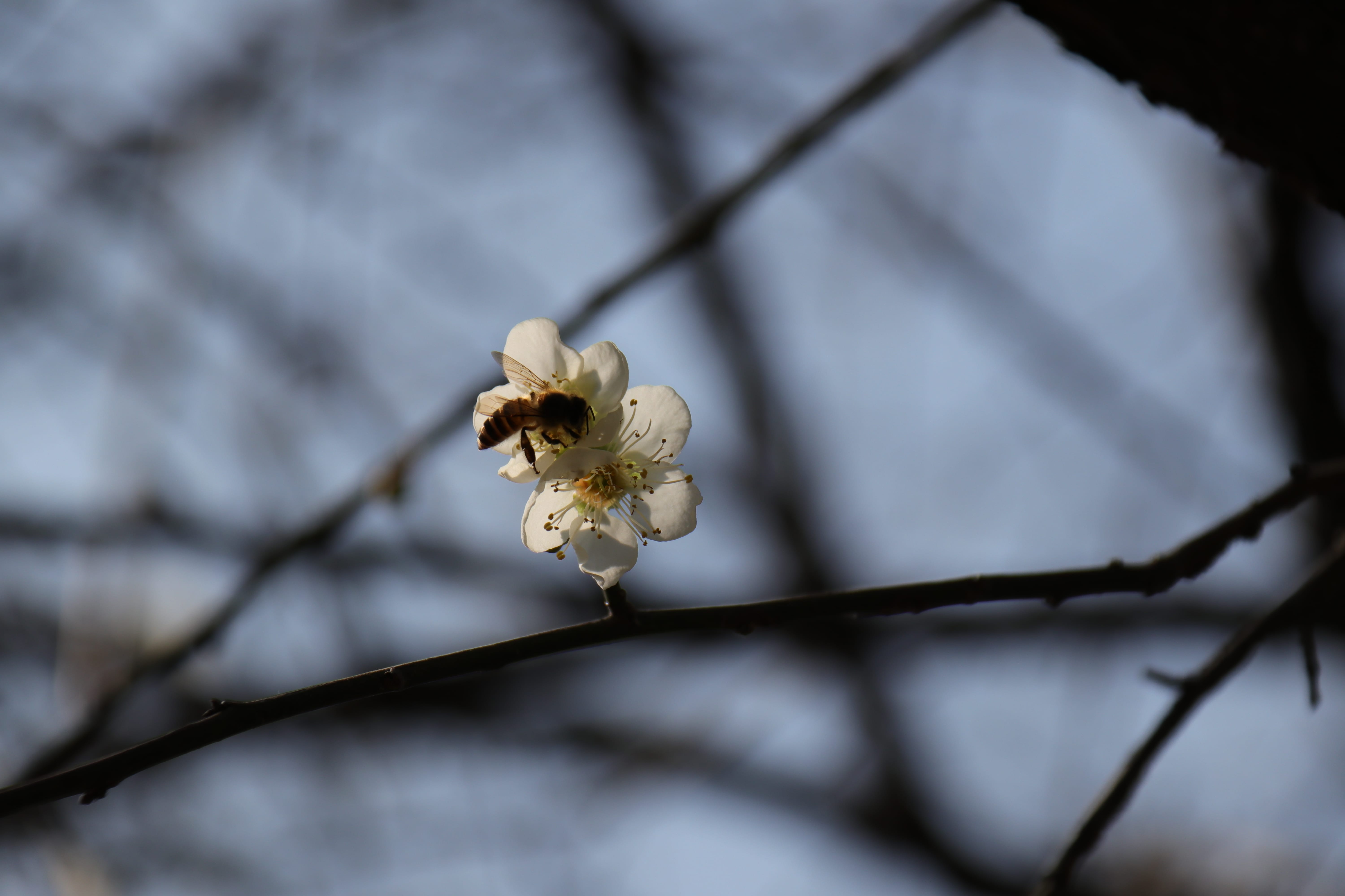 20191228140930_IMG_0568