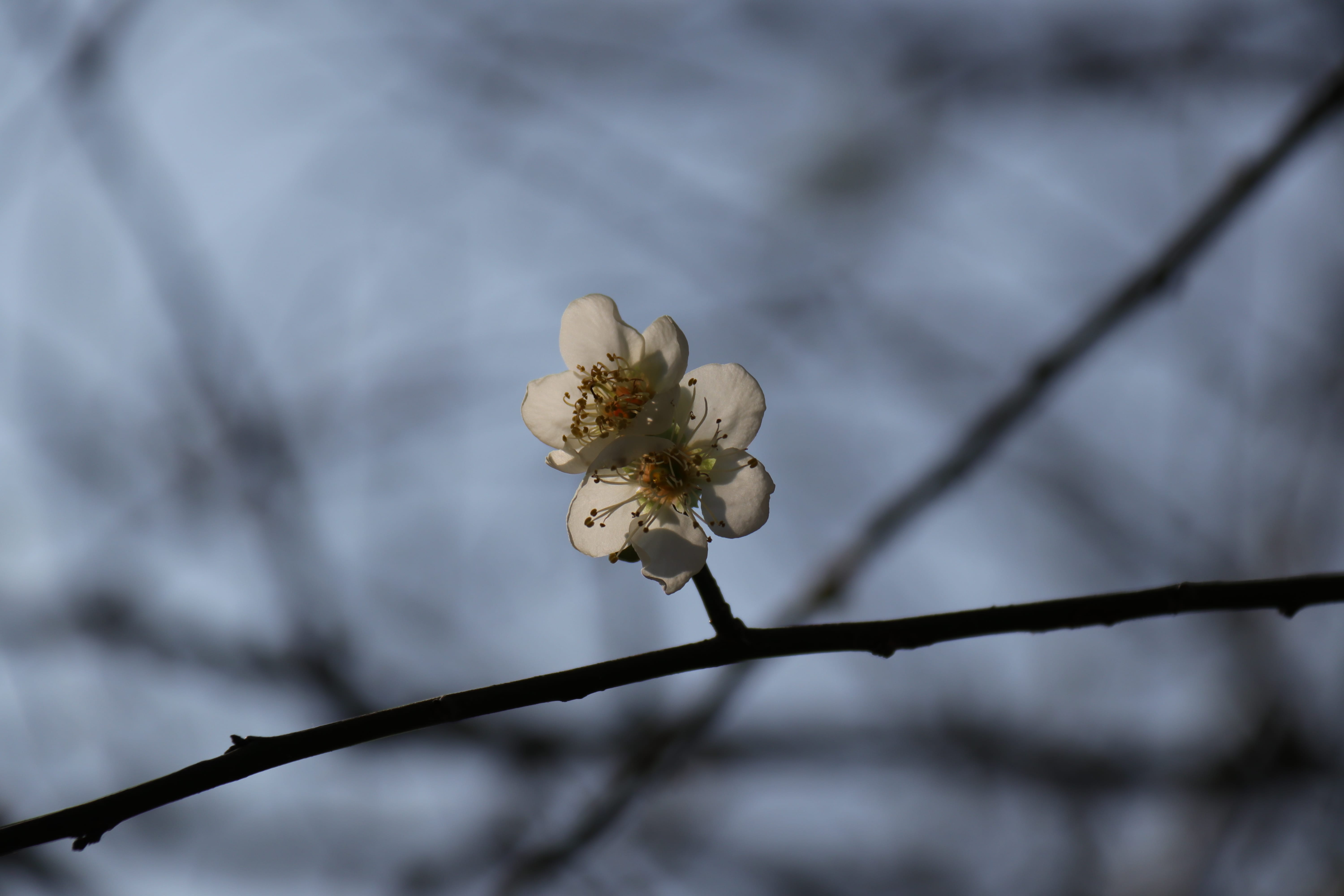 20191228140944_IMG_0569