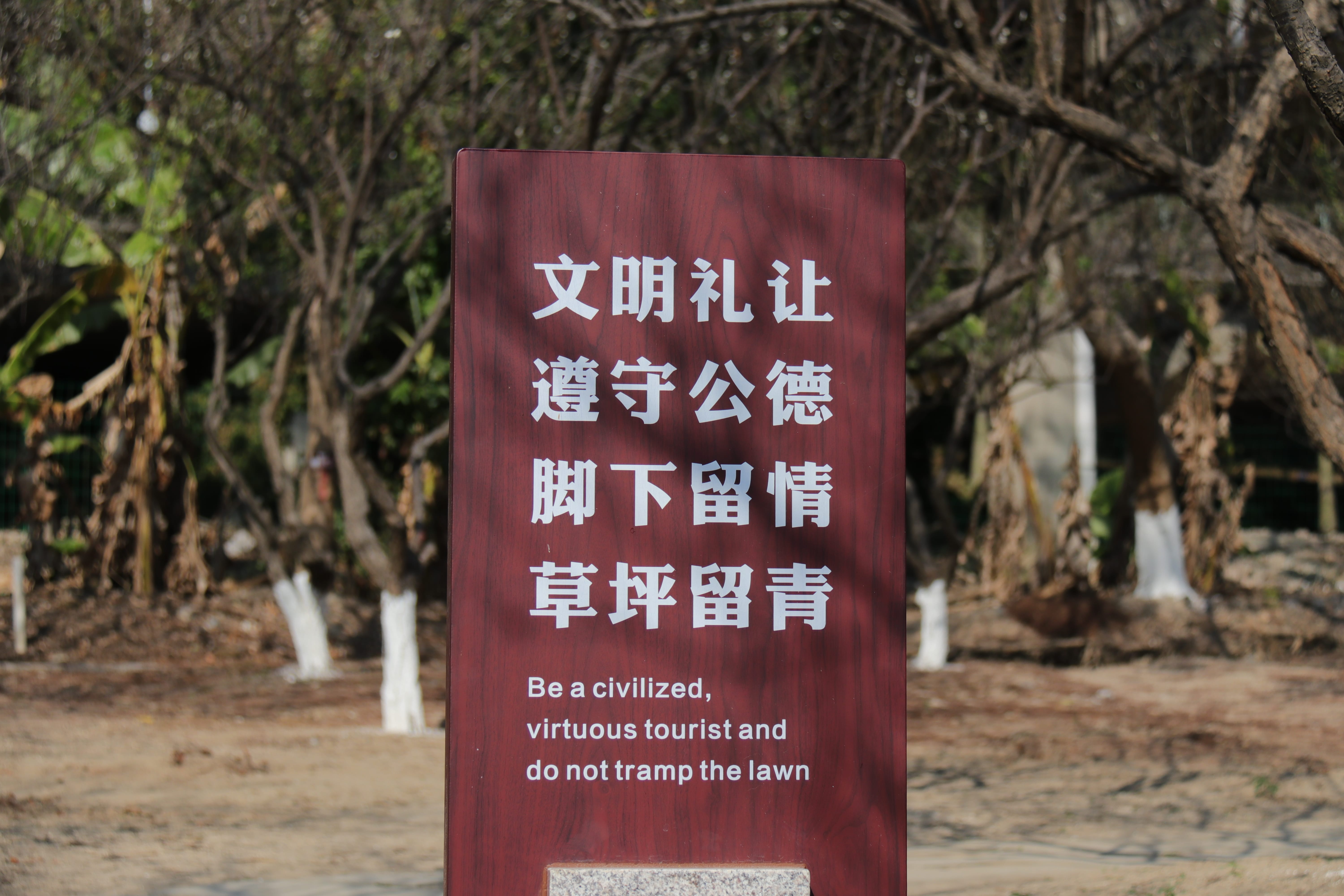 20191228141956_IMG_0570