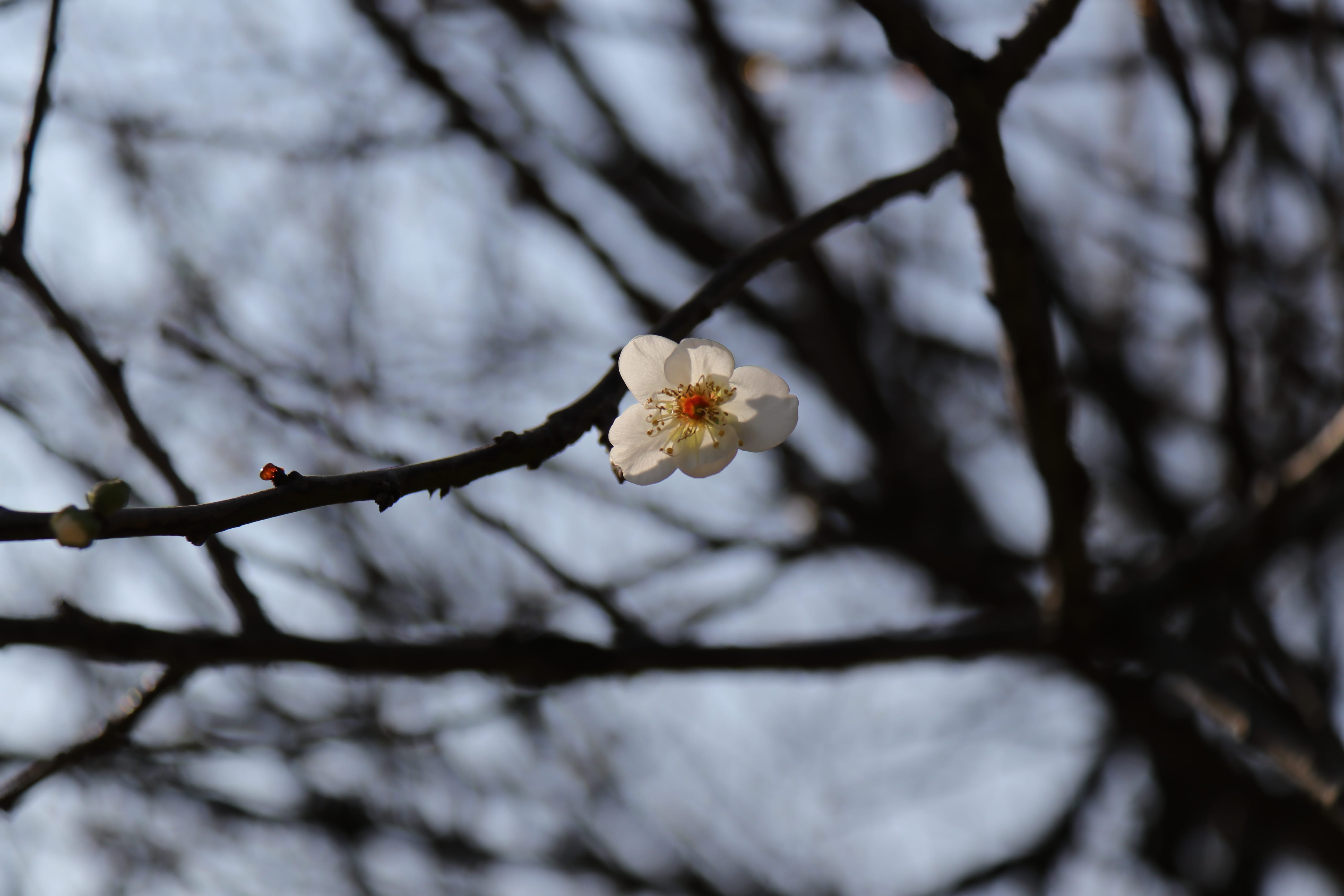 20191228142136_IMG_0571