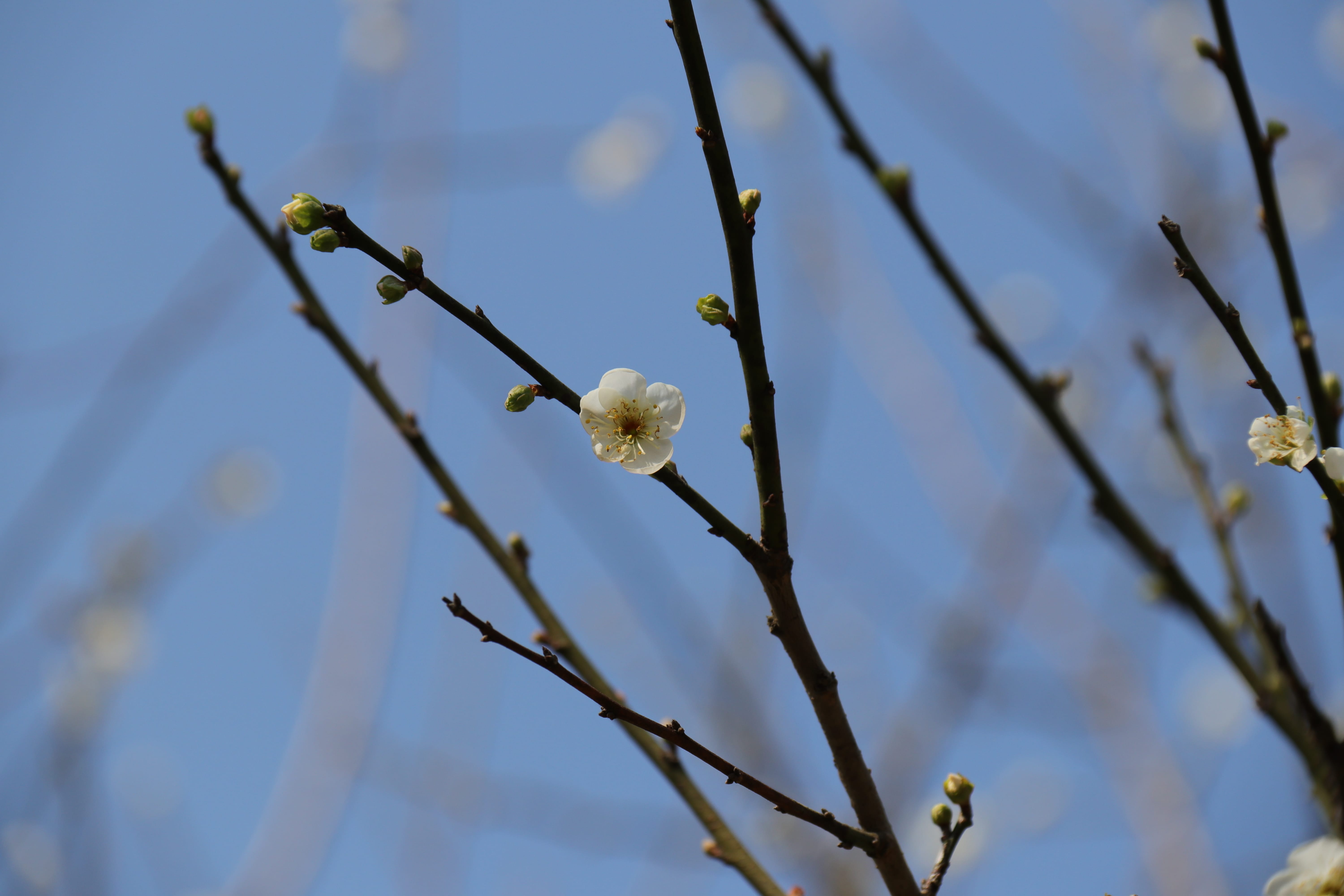 20191228142449_IMG_0572