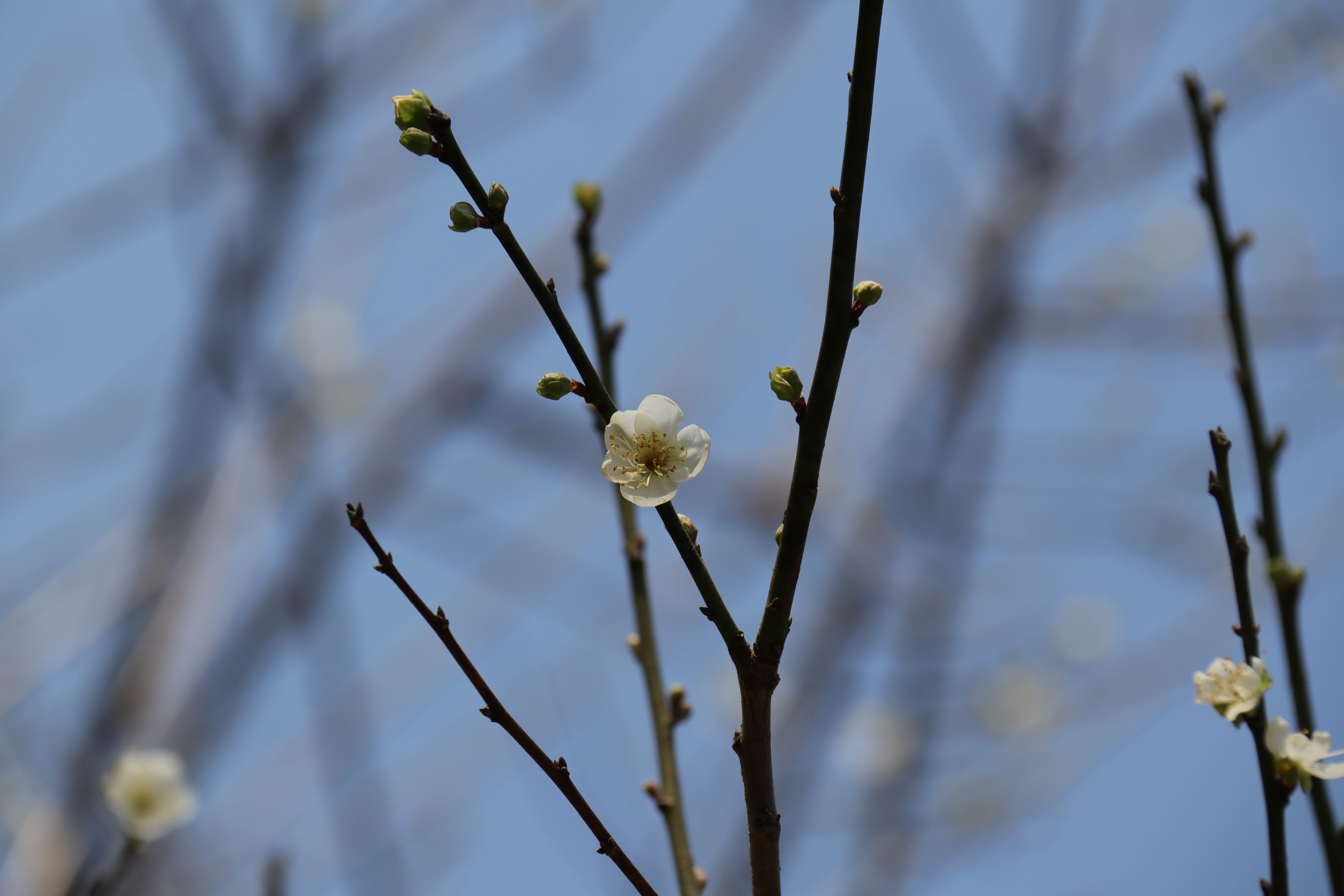 20191228142519_IMG_0573