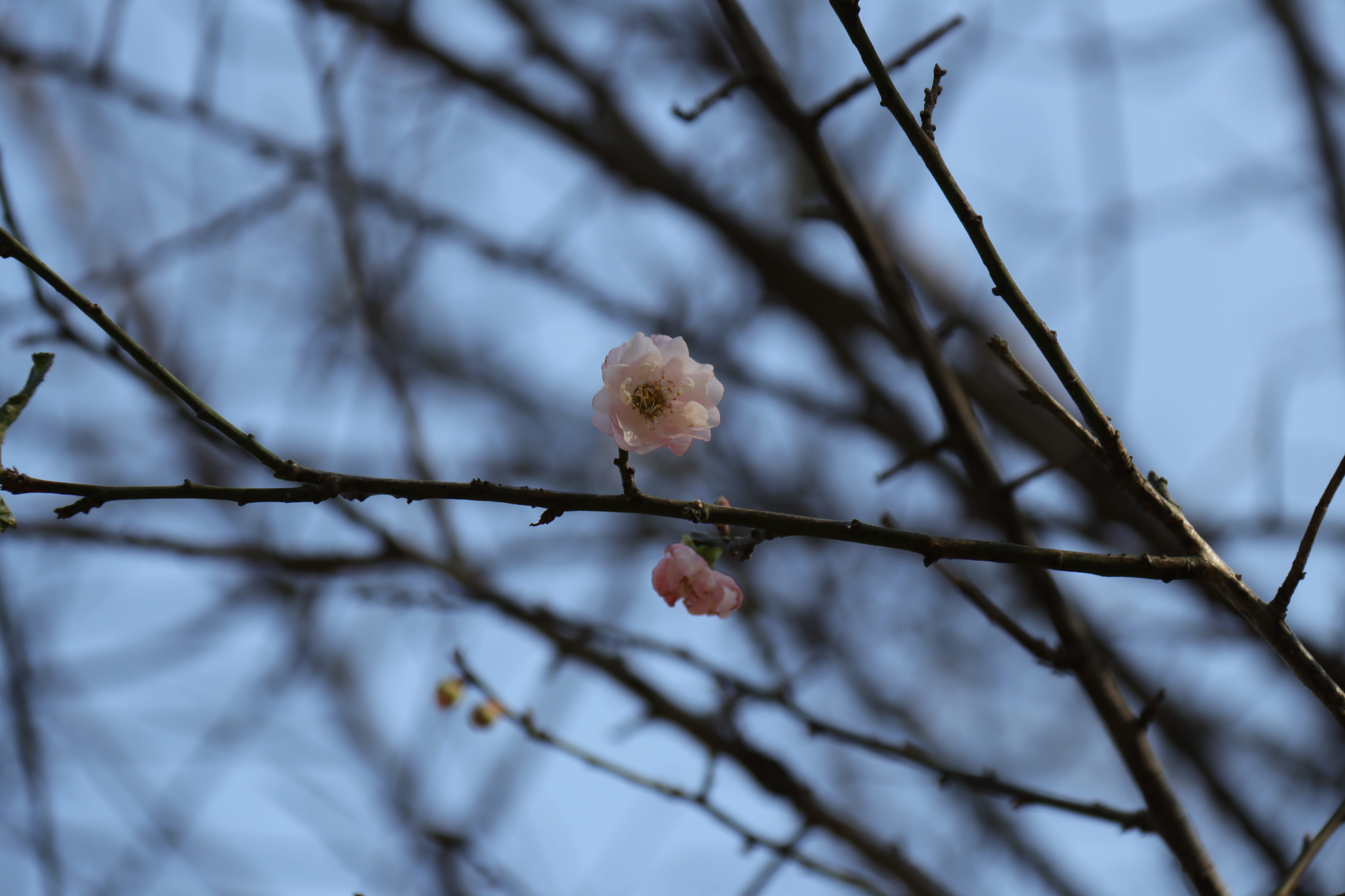 20191228143105_IMG_0574