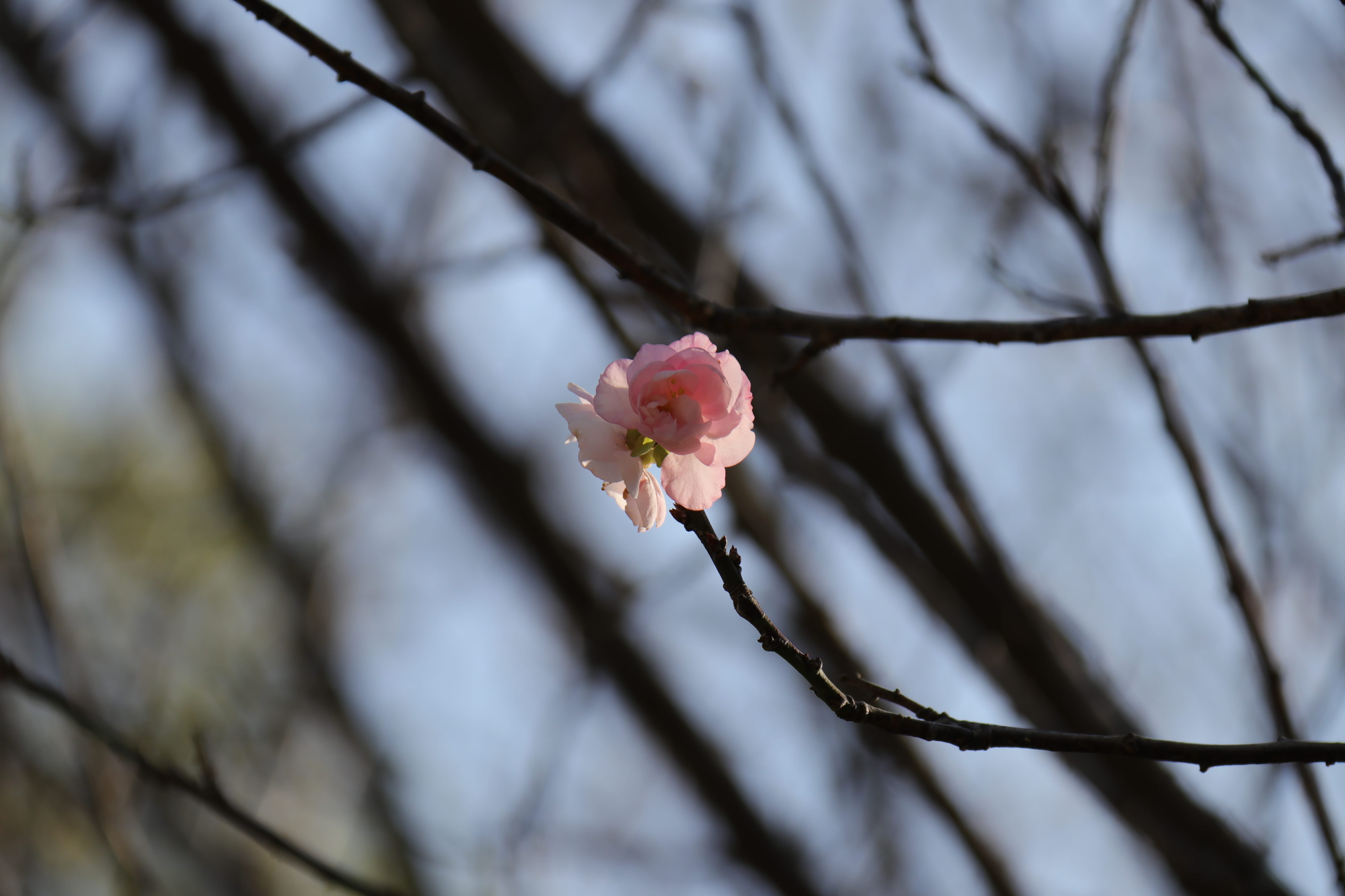 20191228143235_IMG_0575