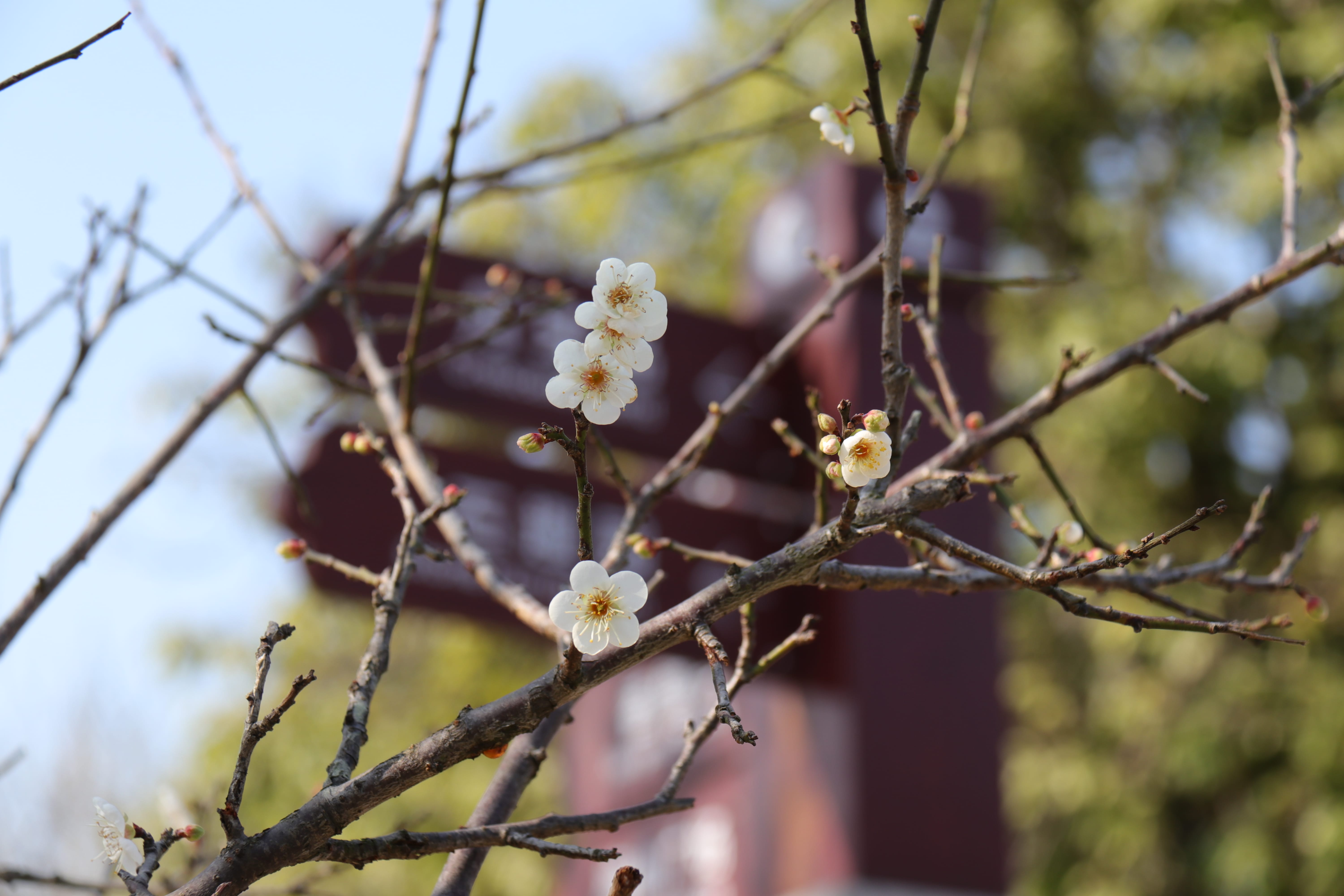 20191228144413_IMG_0576