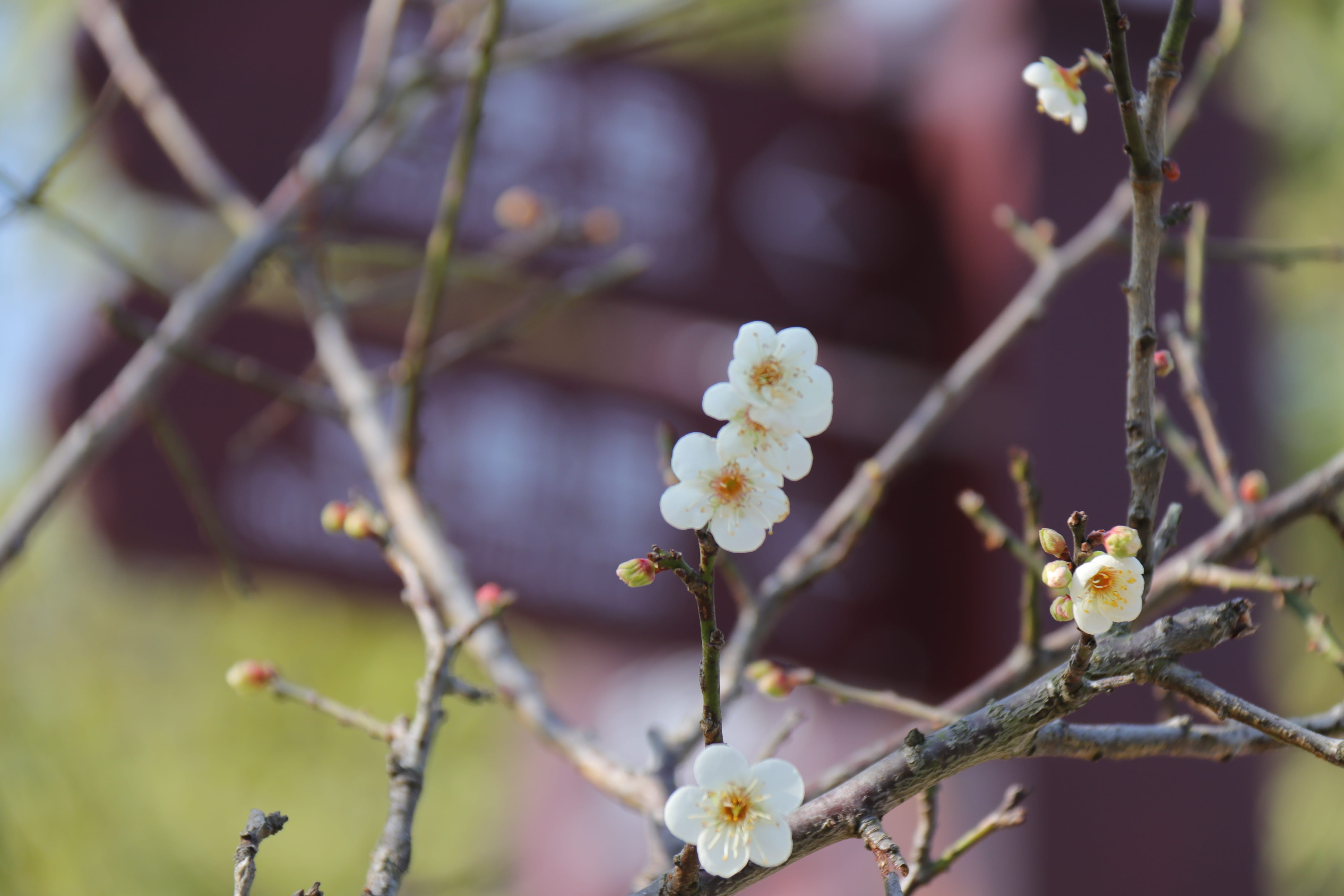 20191228144427_IMG_0577