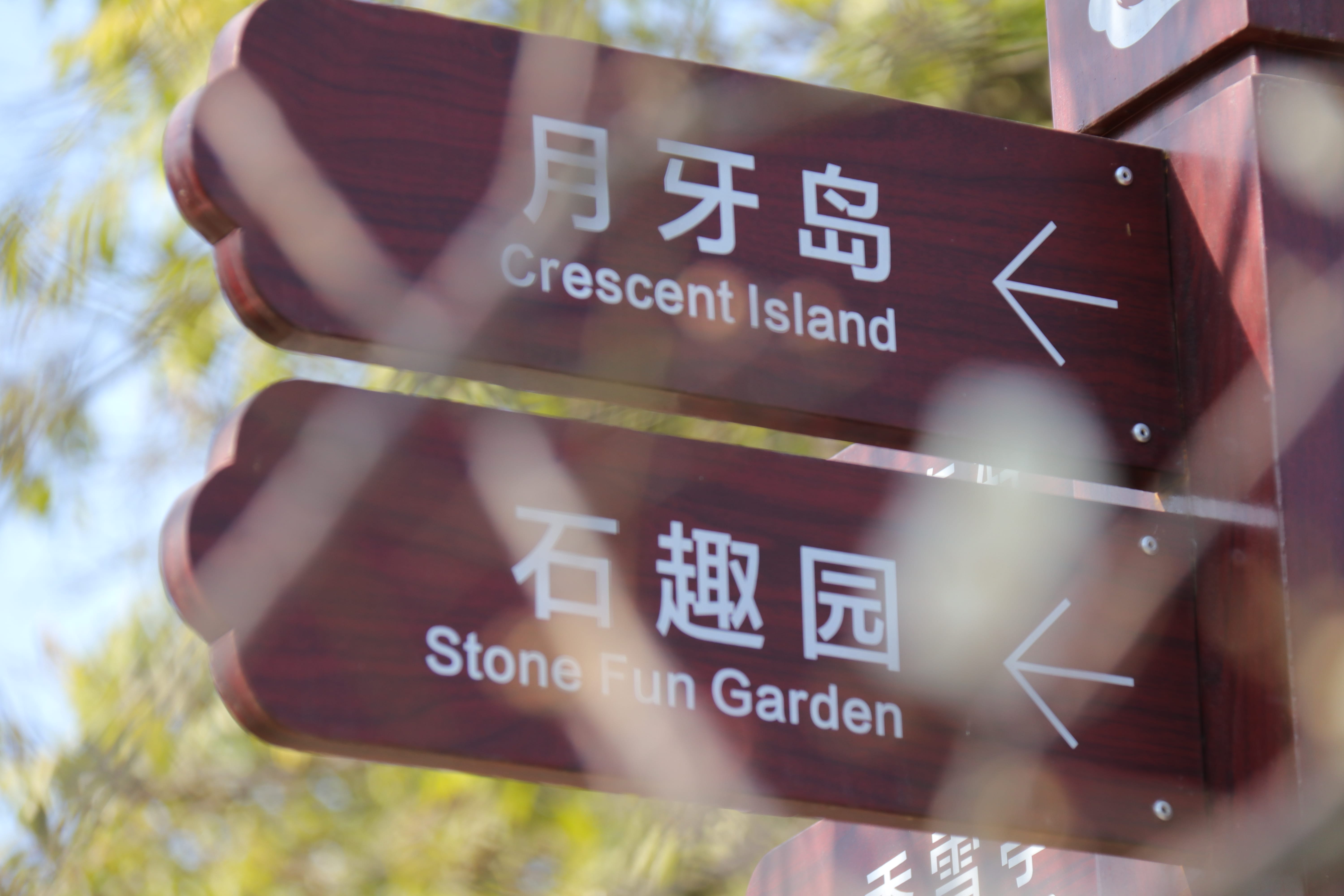 20191228144440_IMG_0578