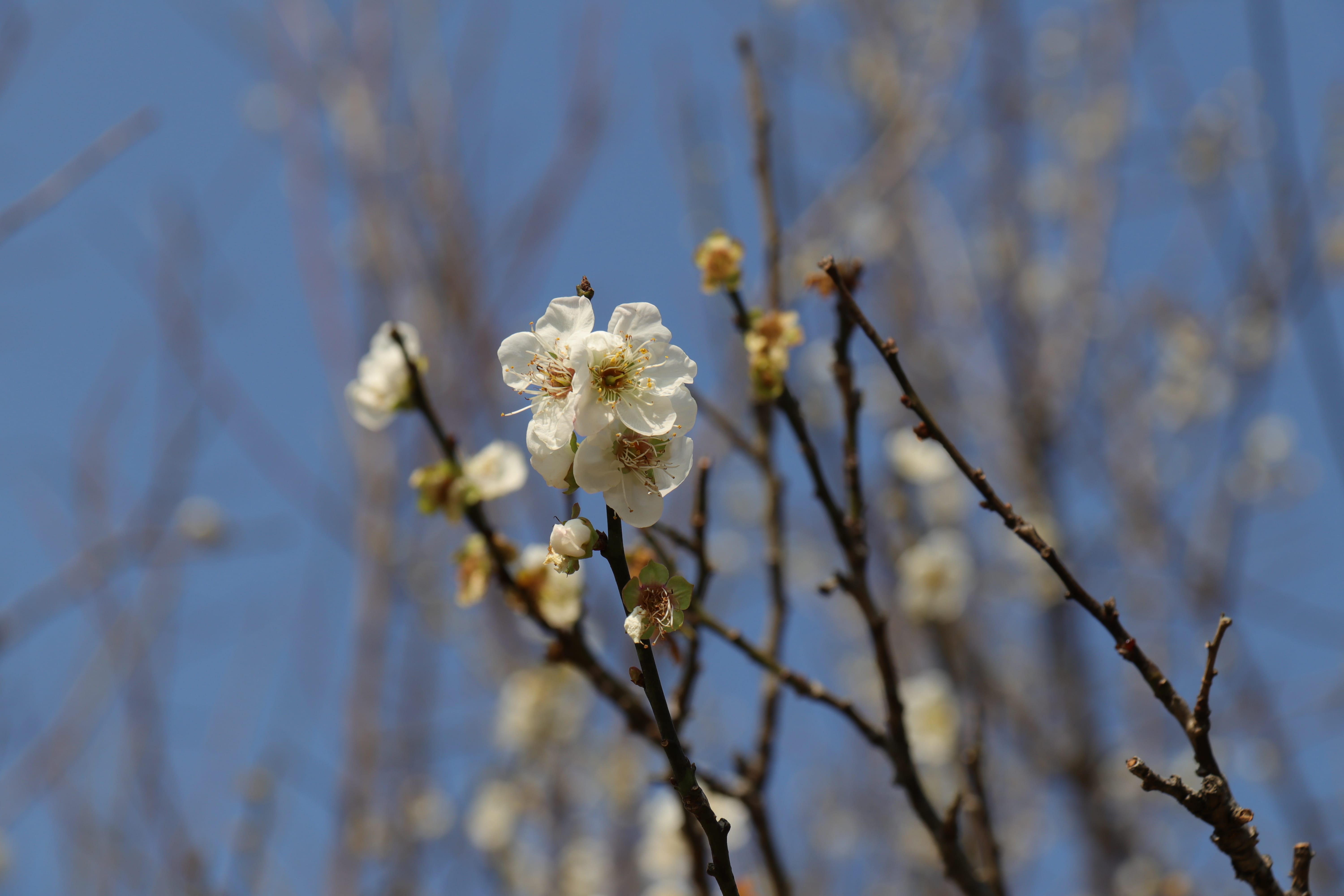 20191228144557_IMG_0580