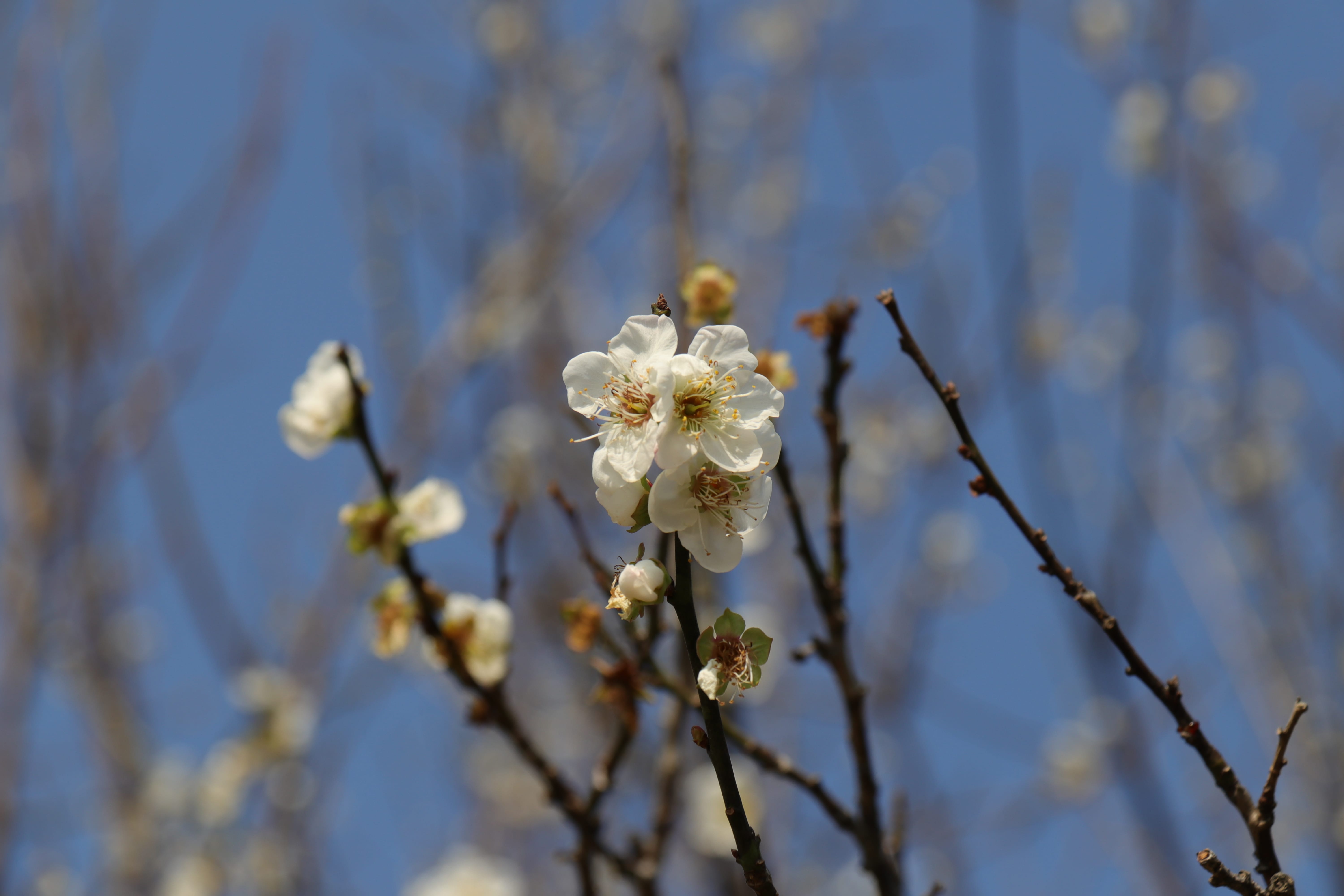 20191228144611_IMG_0581