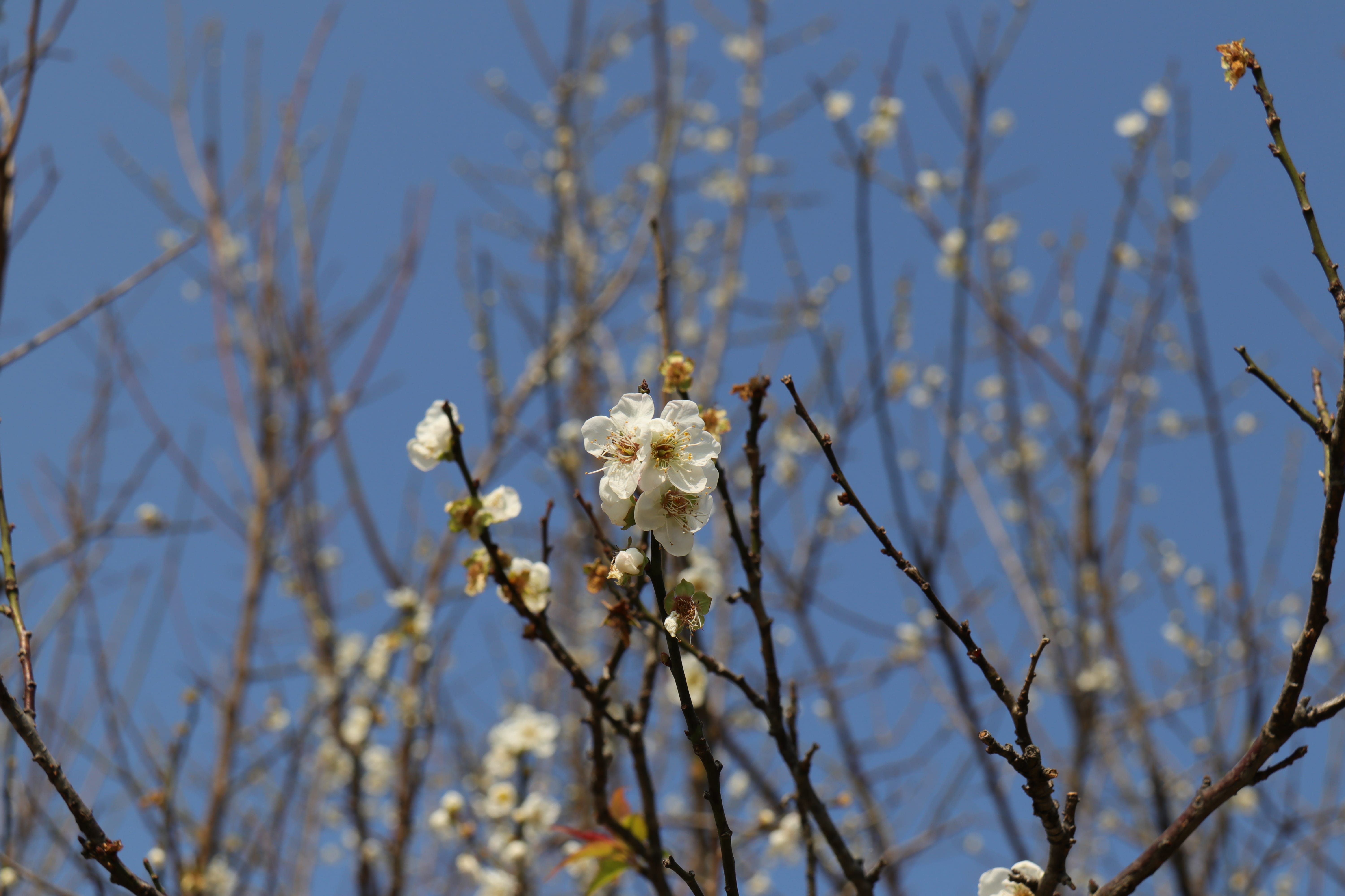 20191228144623_IMG_0582