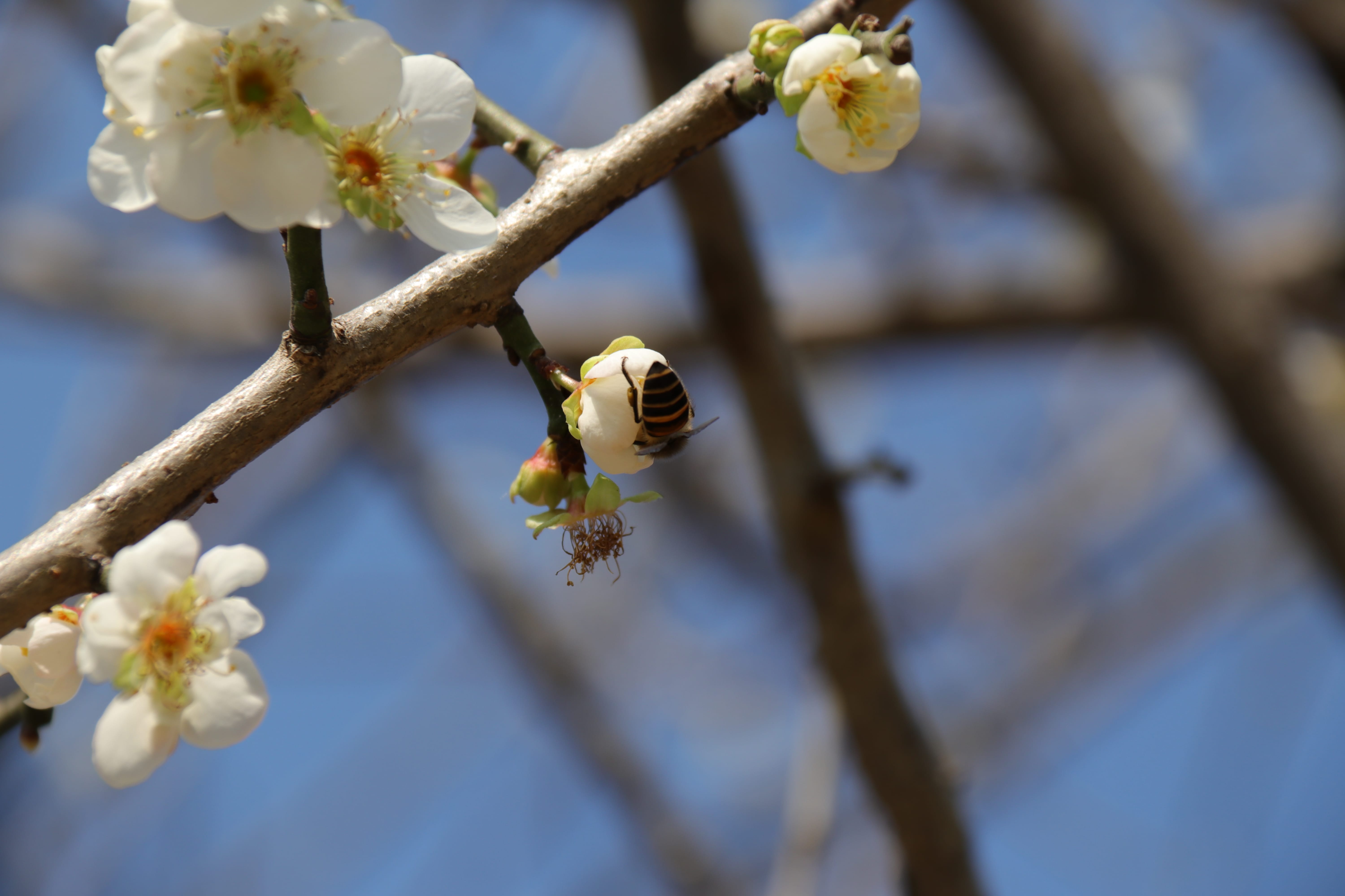 20191228144657_IMG_0583