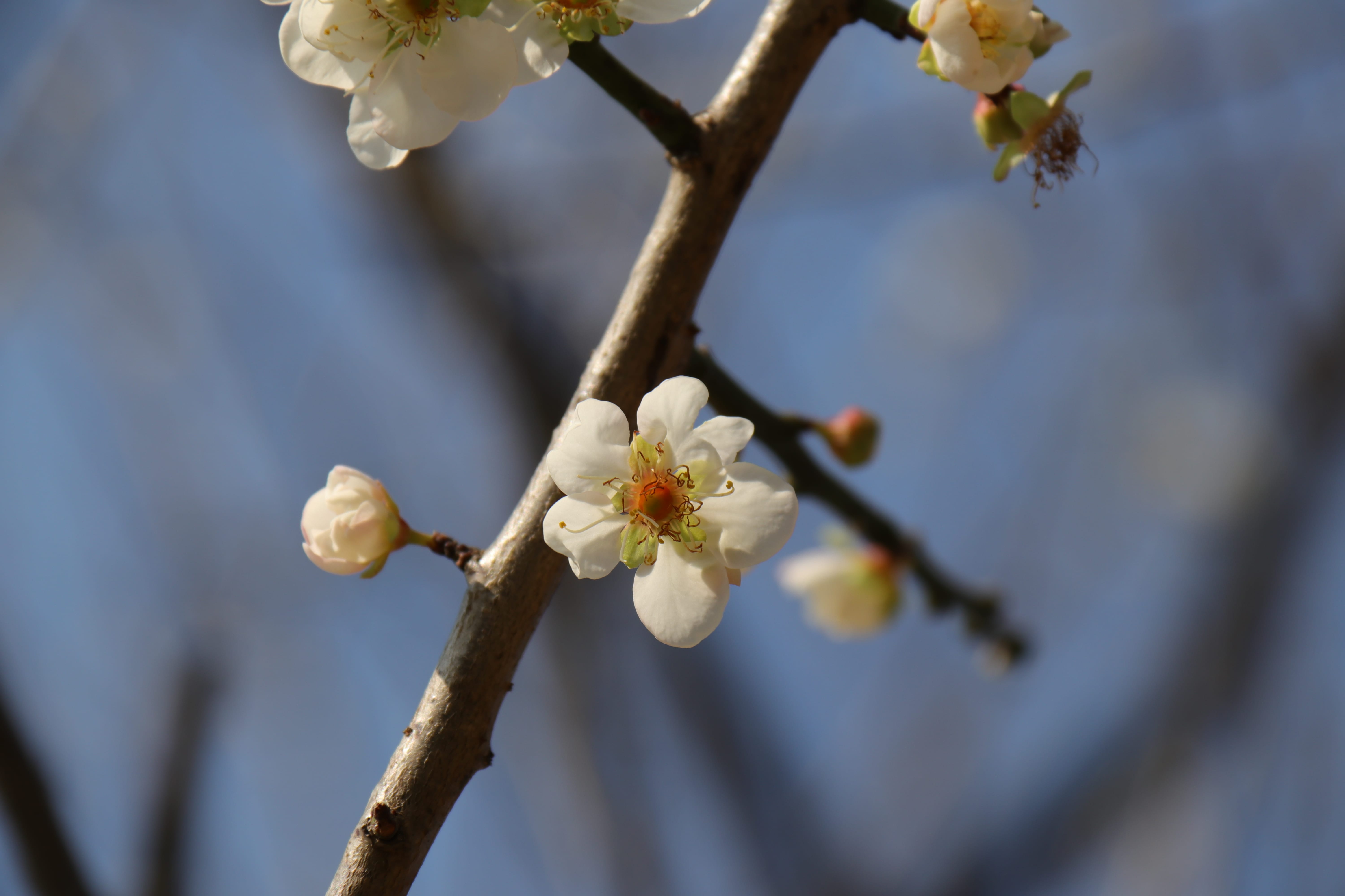 20191228144706_IMG_0584