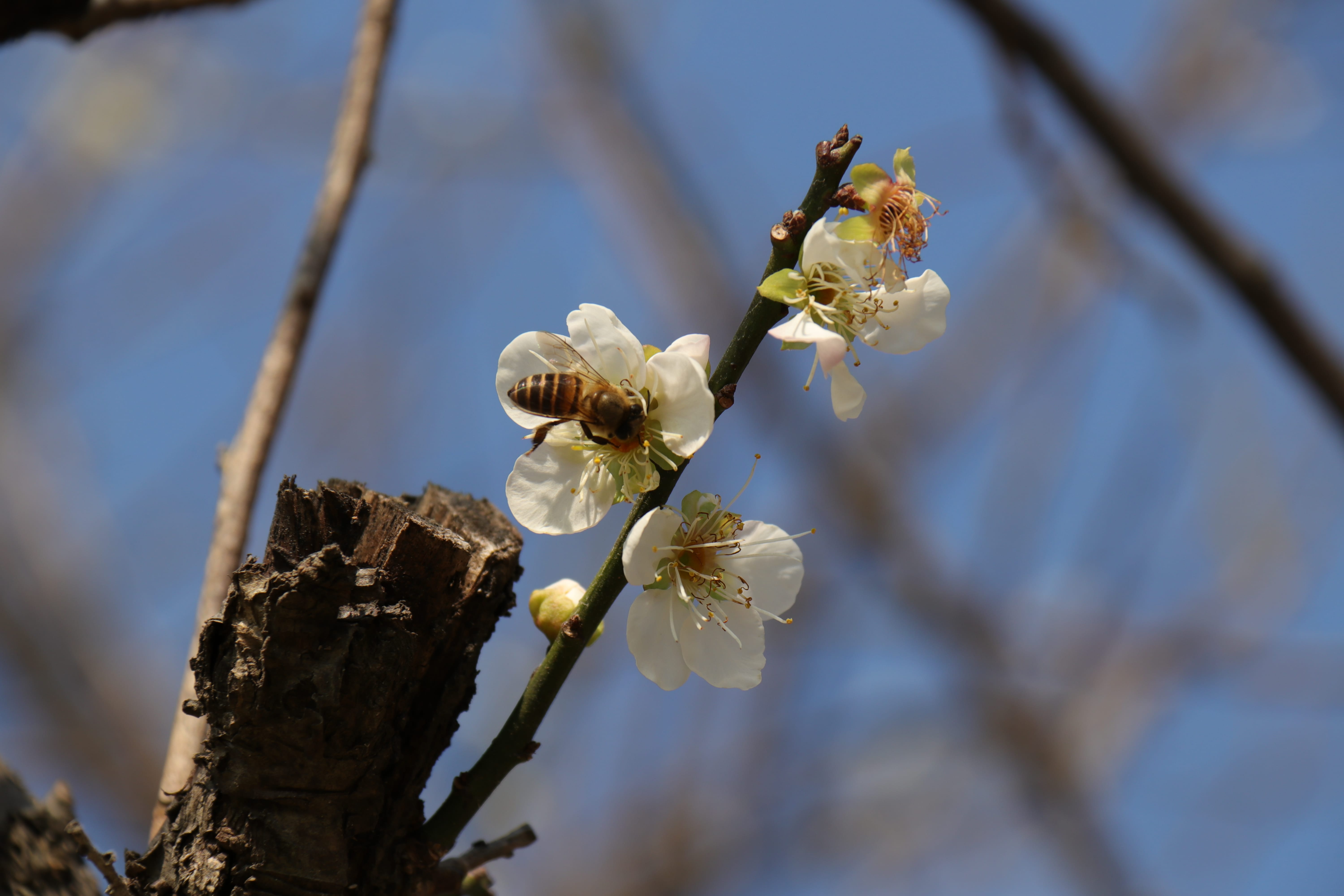 20191228144719_IMG_0585