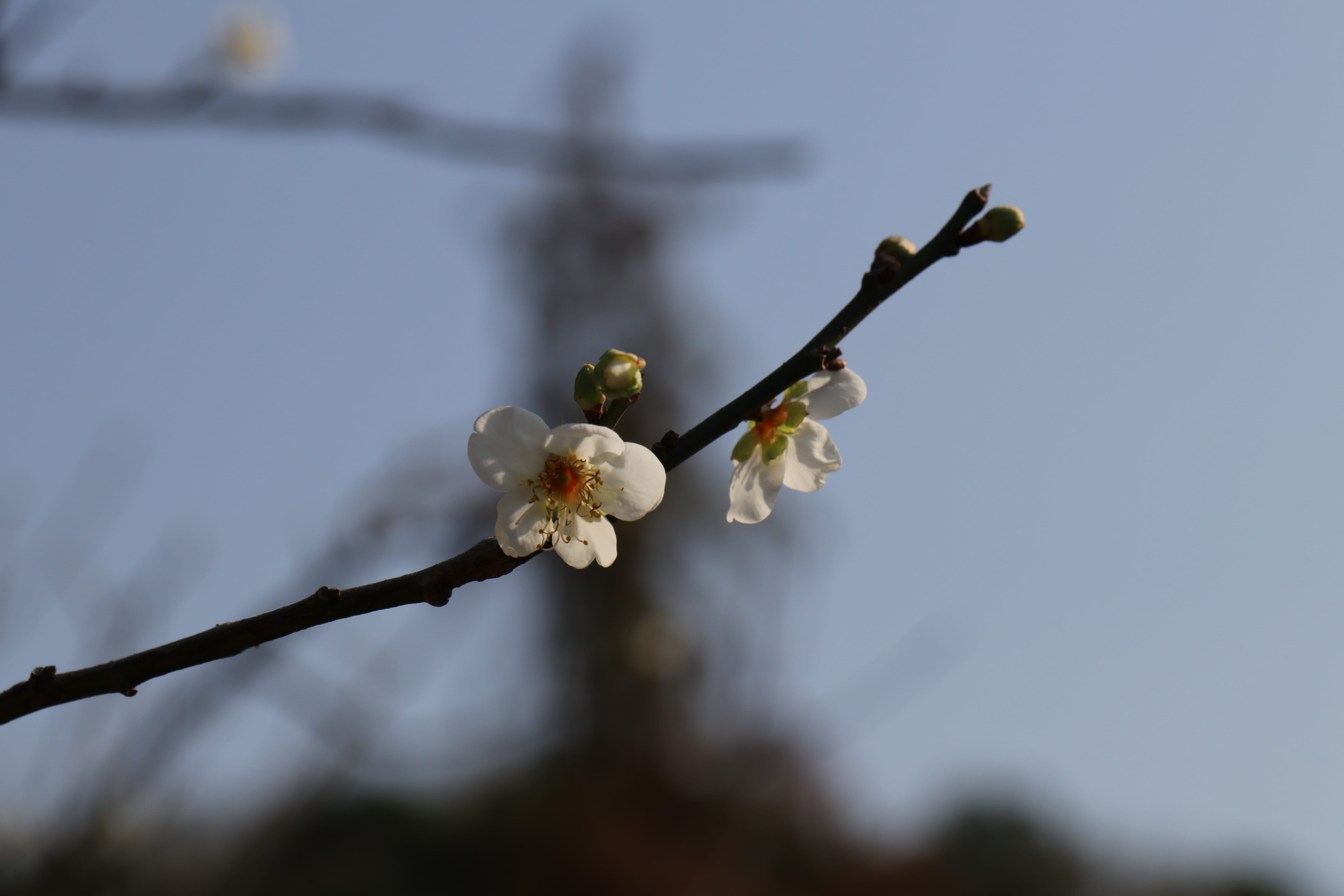 20191228144852_IMG_0586