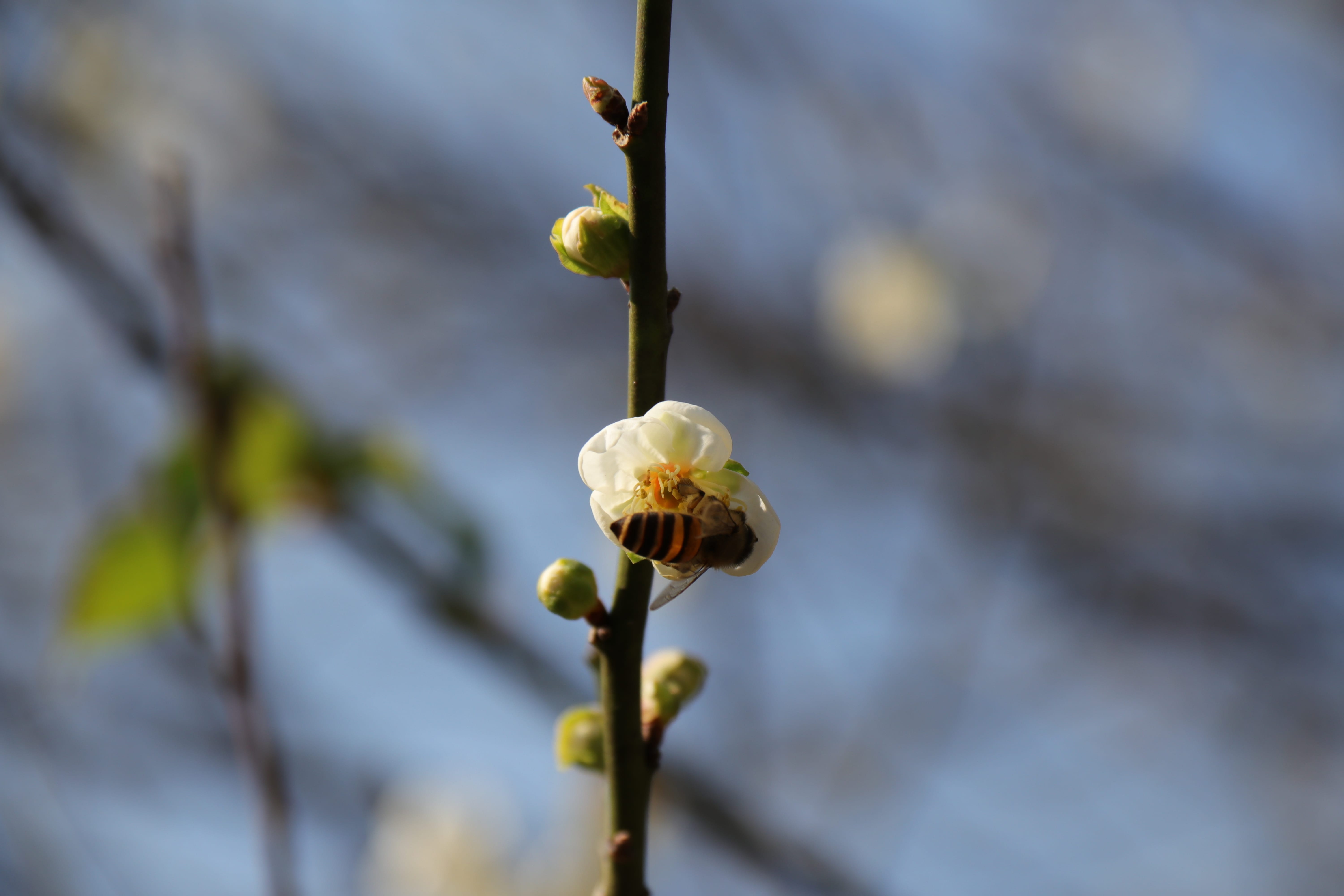 20191228145037_IMG_0588