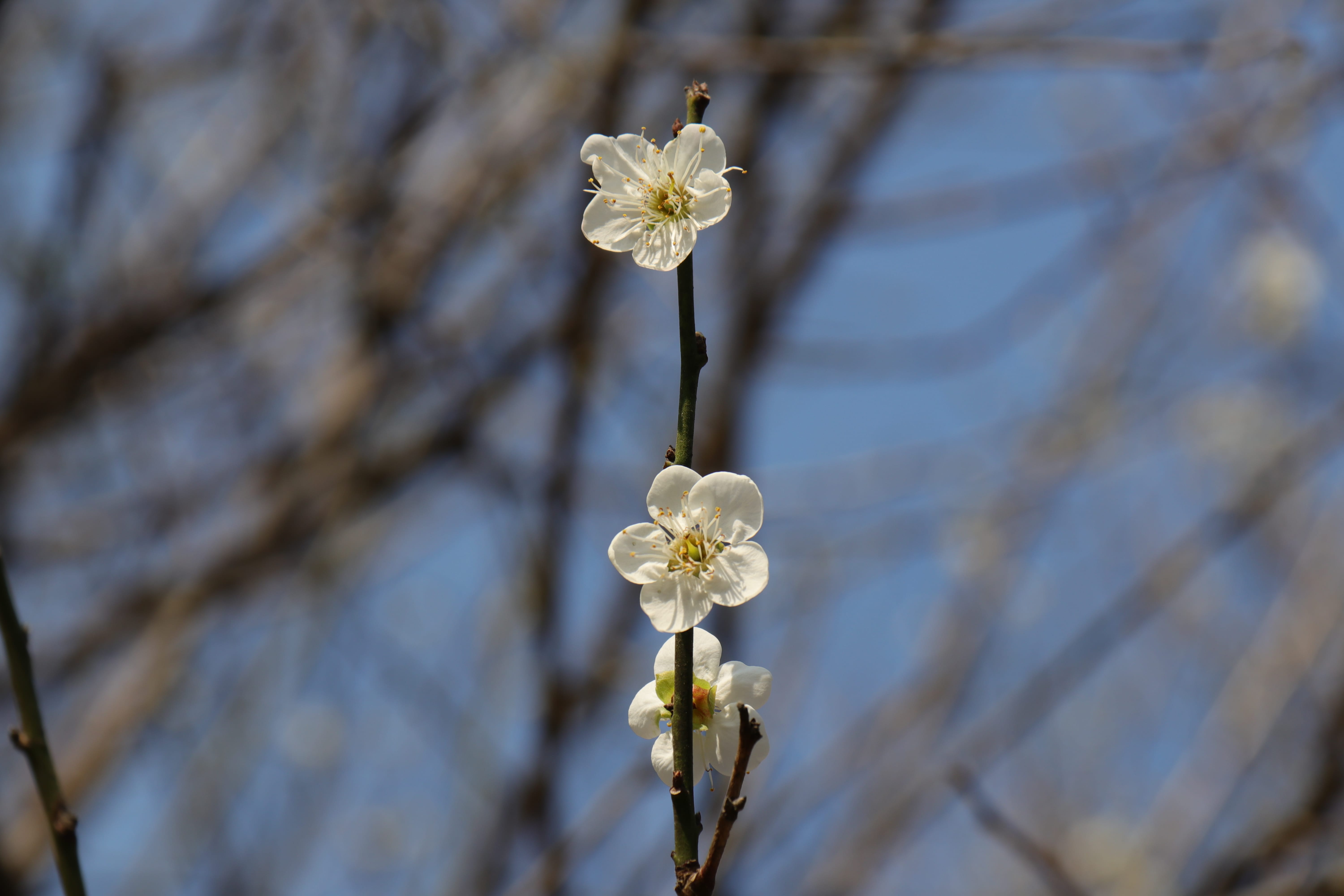 20191228145141_IMG_0589