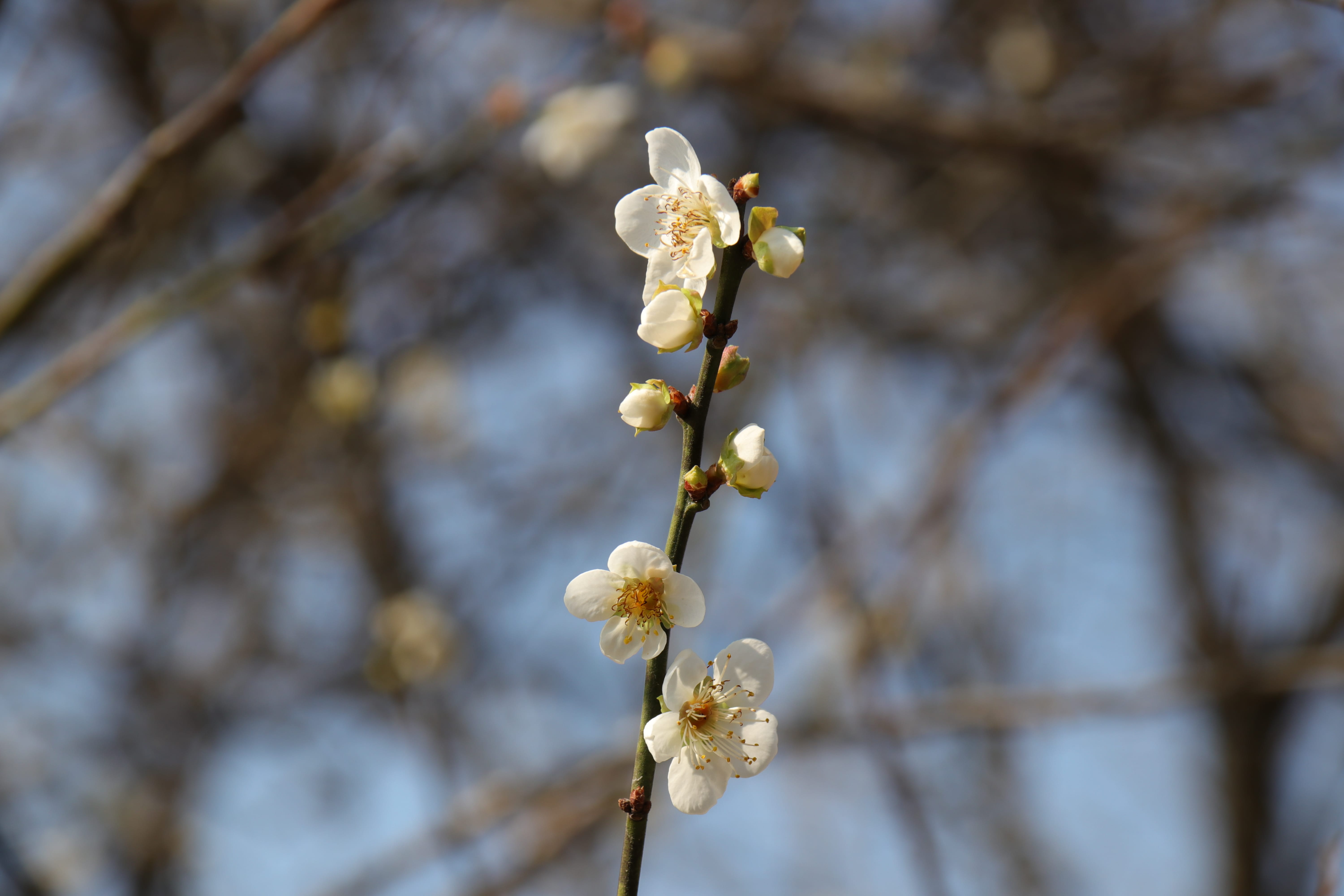 20191228145206_IMG_0590