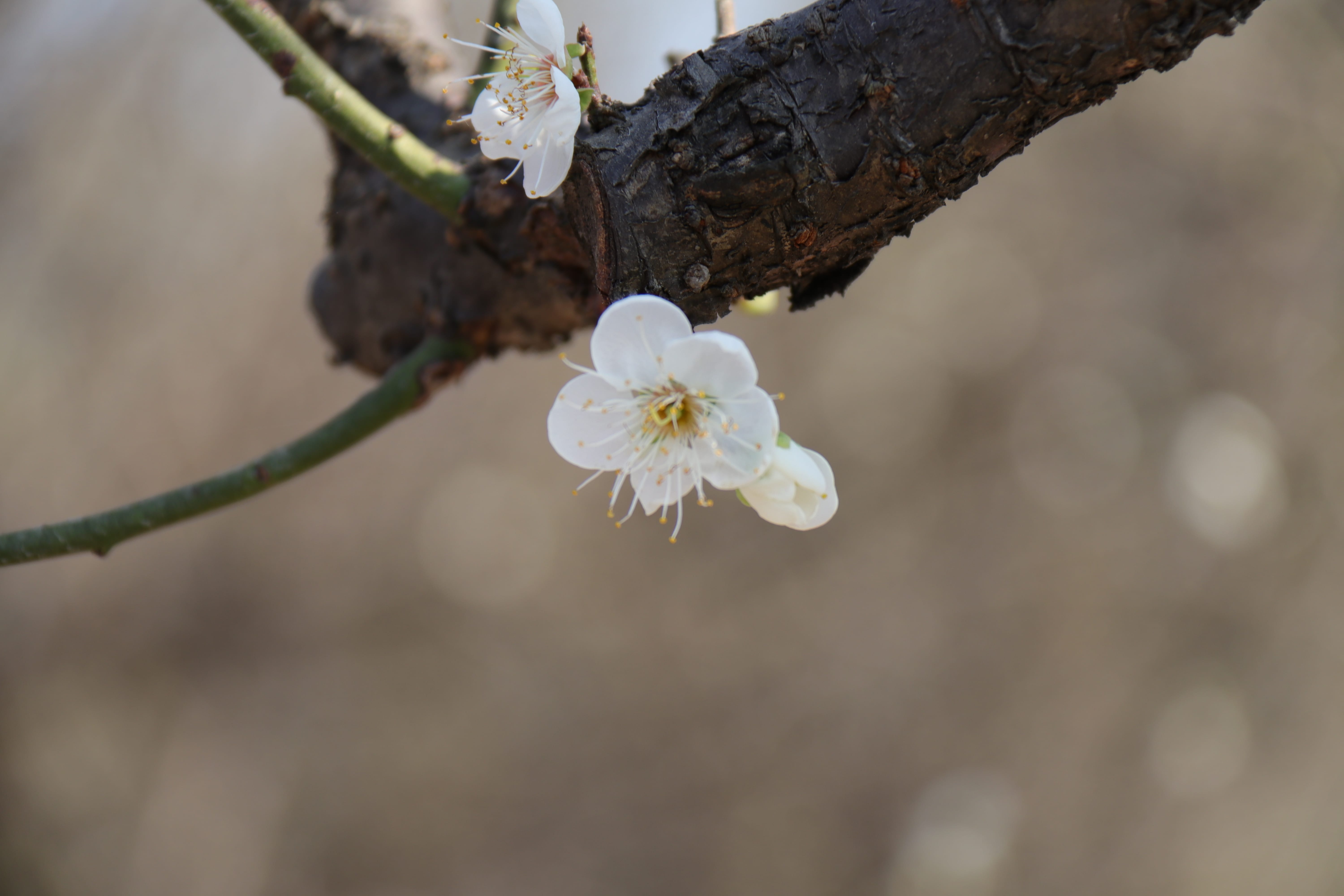 20191228145400_IMG_0591